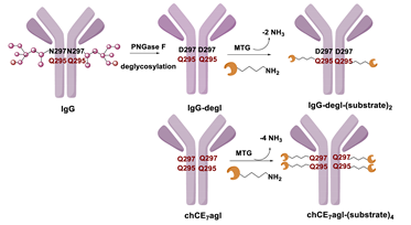 Molecules 26 03492 i026 Molecules 26 03492 i026