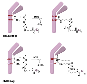 Molecules 26 03492 i028 Molecules 26 03492 i028