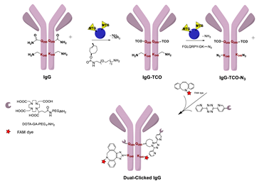 Molecules 26 03492 i032 Molecules 26 03492 i032