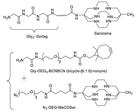 Molecules 26 03492 i039 Molecules 26 03492 i039