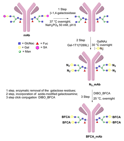 Molecules 26 03492 i042 Molecules 26 03492 i042