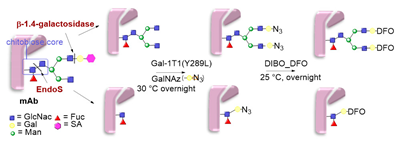 Molecules 26 03492 i050 Molecules 26 03492 i050