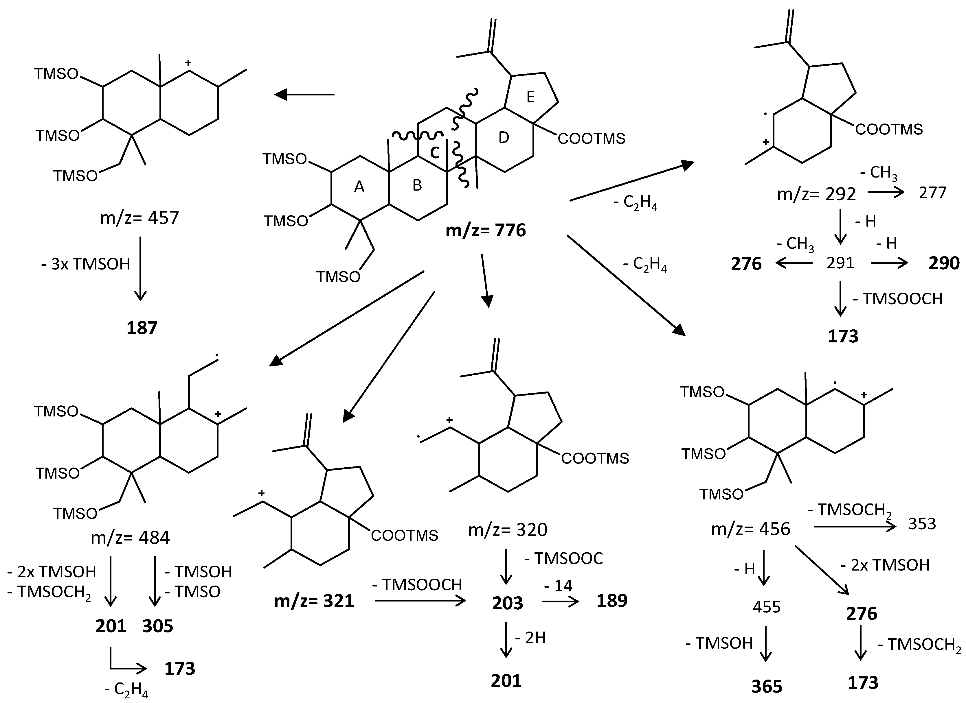 Molecules 26 03495 g008