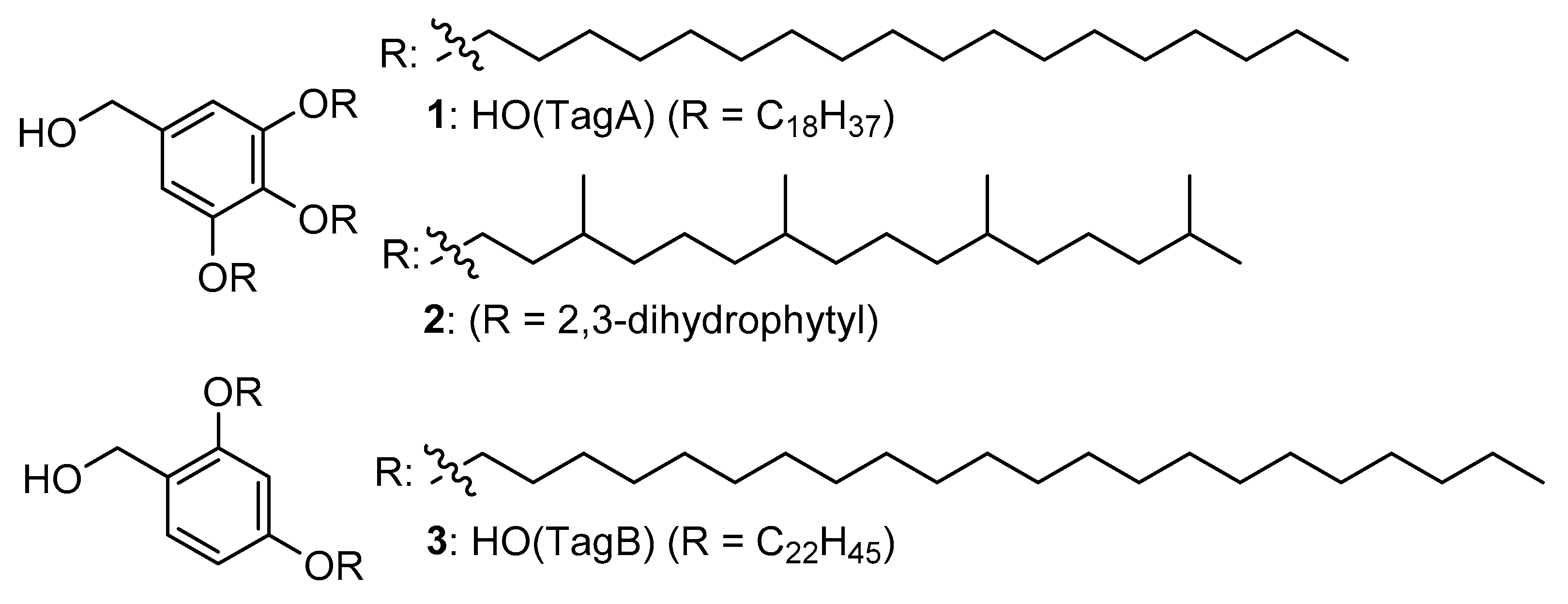 Molecules 26 03497 g001