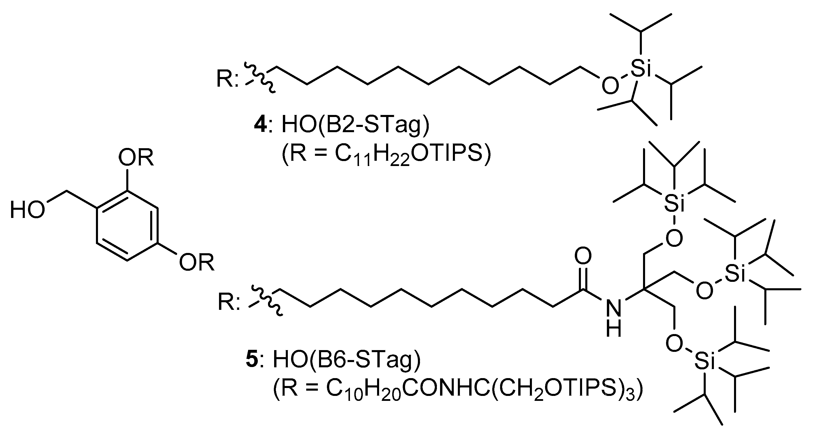Molecules 26 03497 g002