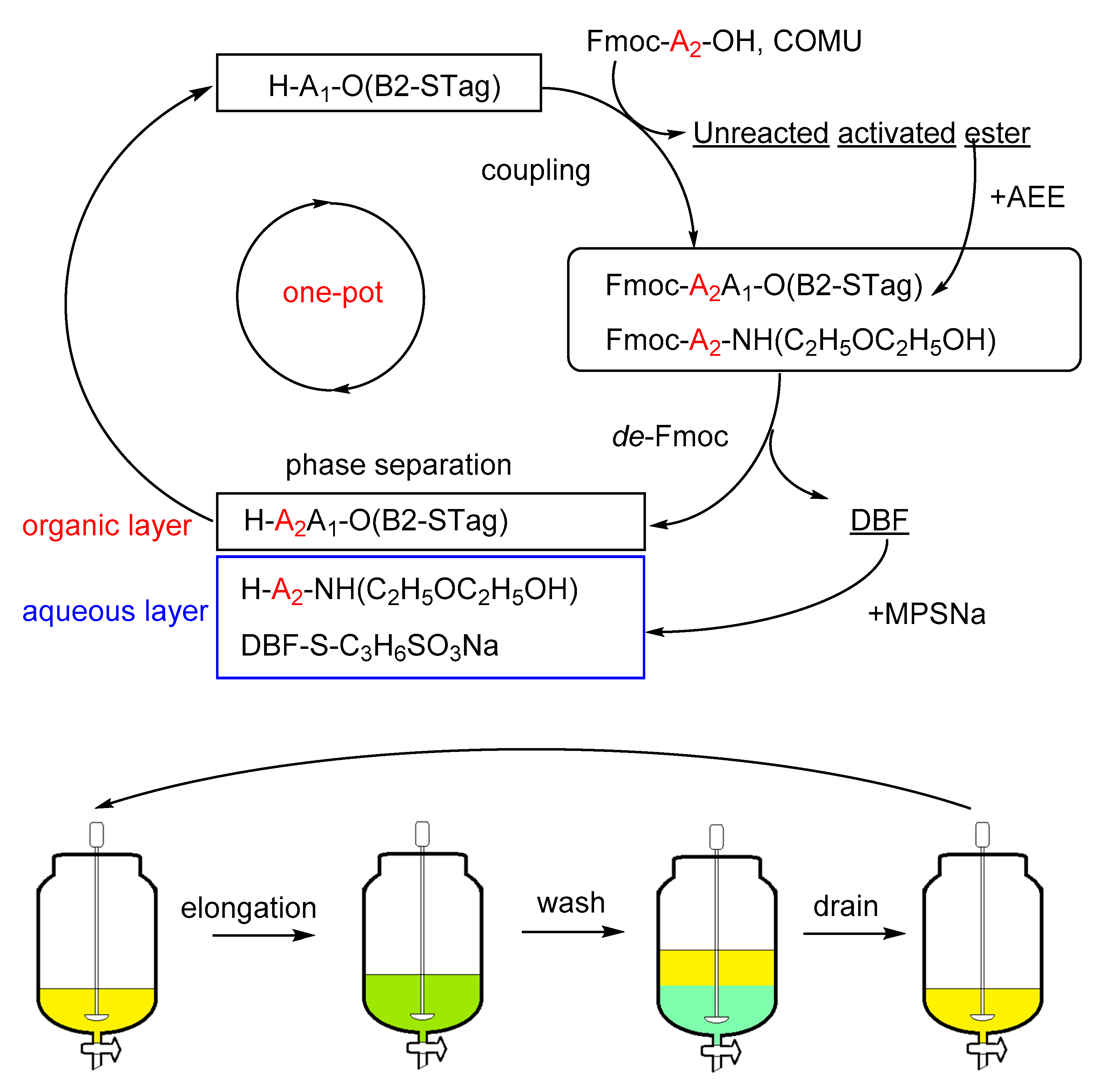 Molecules 26 03497 g003