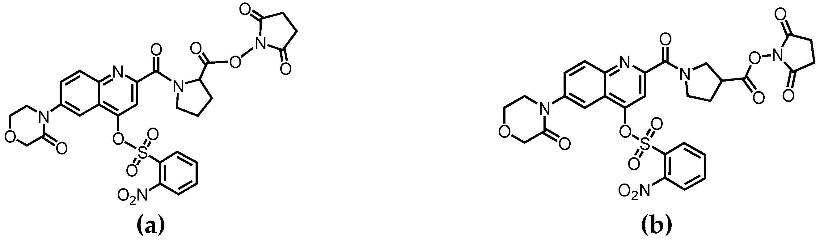 Molecules 26 03498 g001