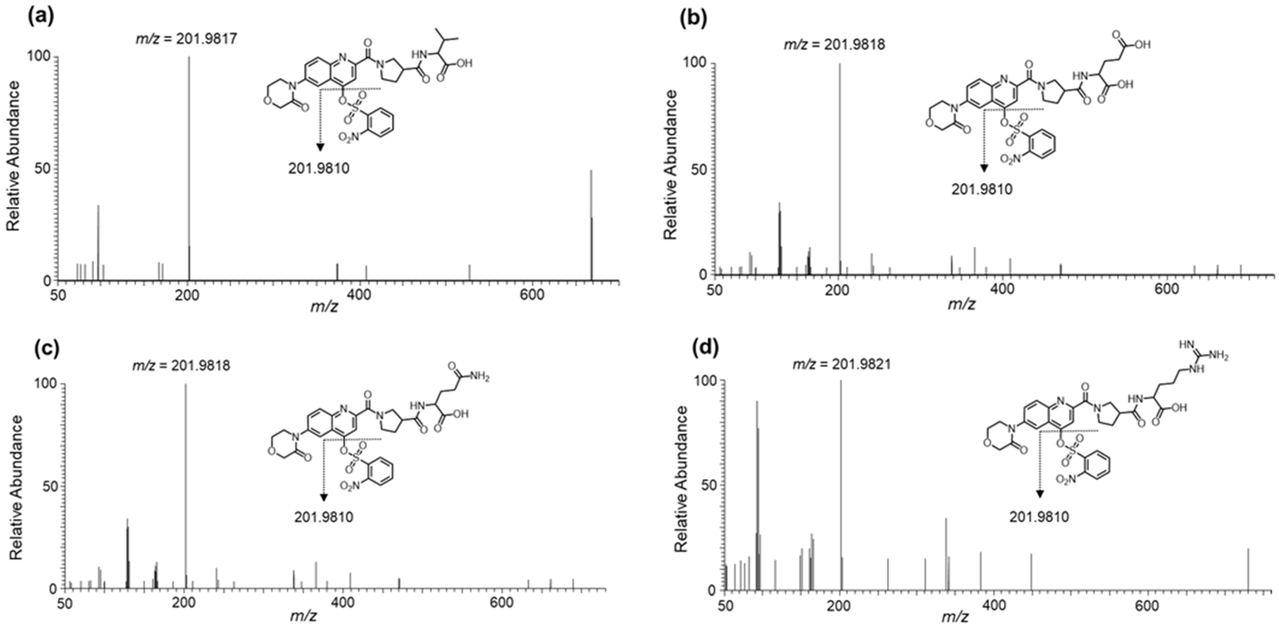 Molecules 26 03498 g004