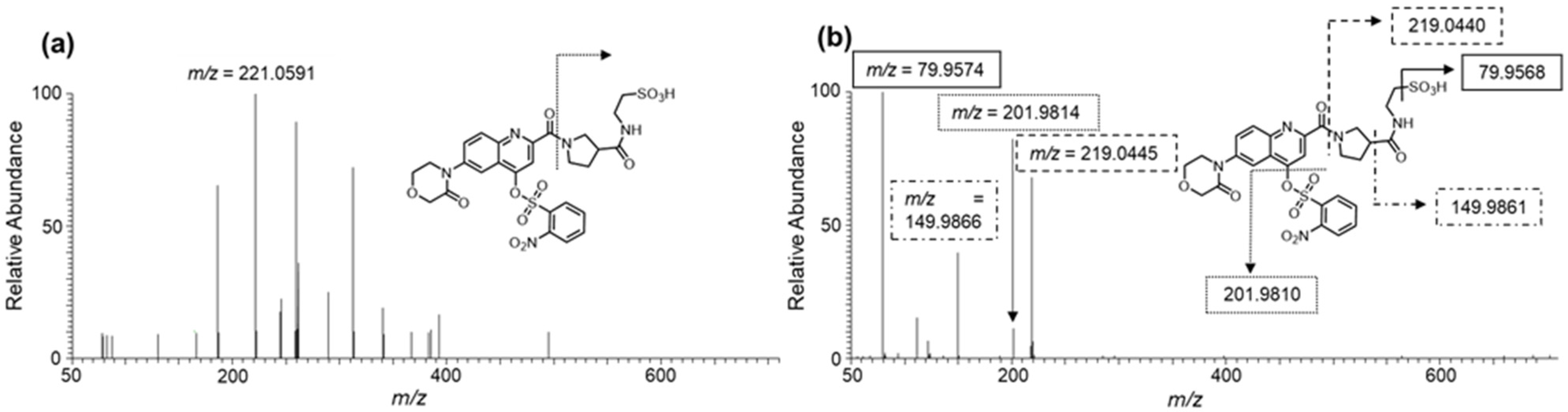 Molecules 26 03498 g005