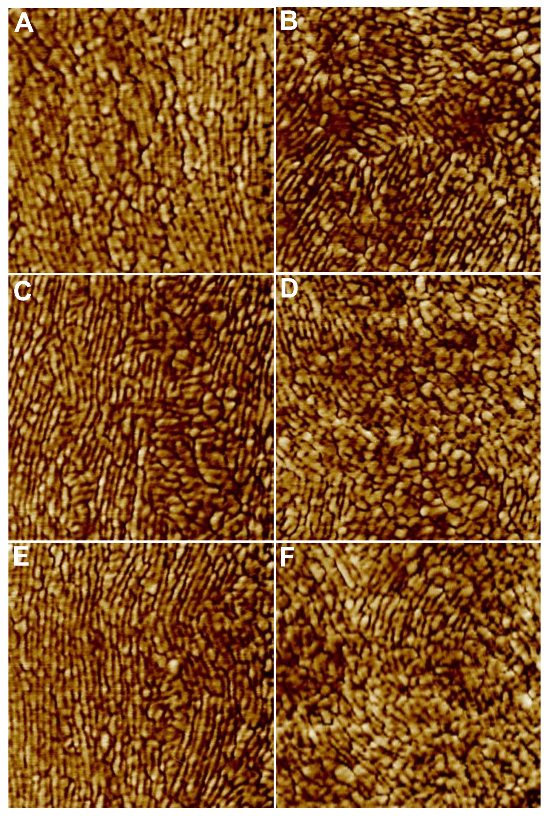 Molecules 26 03500 g004 Molecules 26 03500 g004