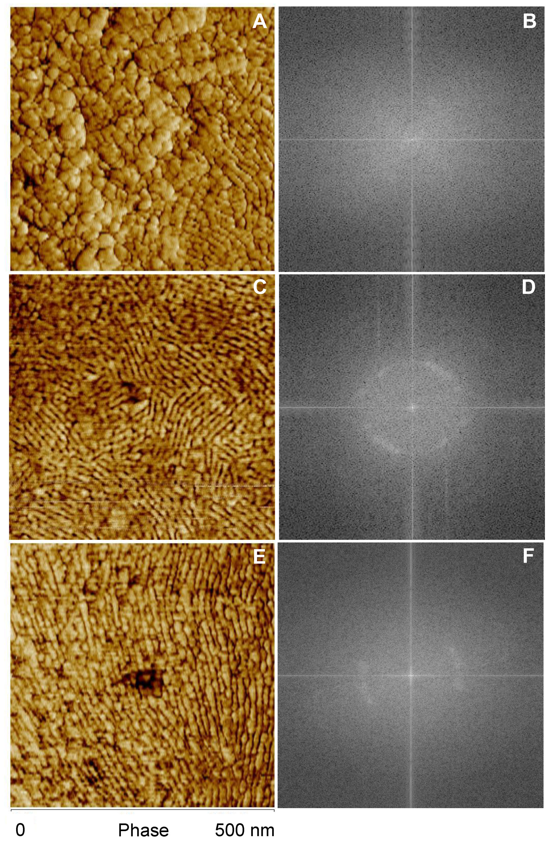 Molecules 26 03500 g005 Molecules 26 03500 g005
