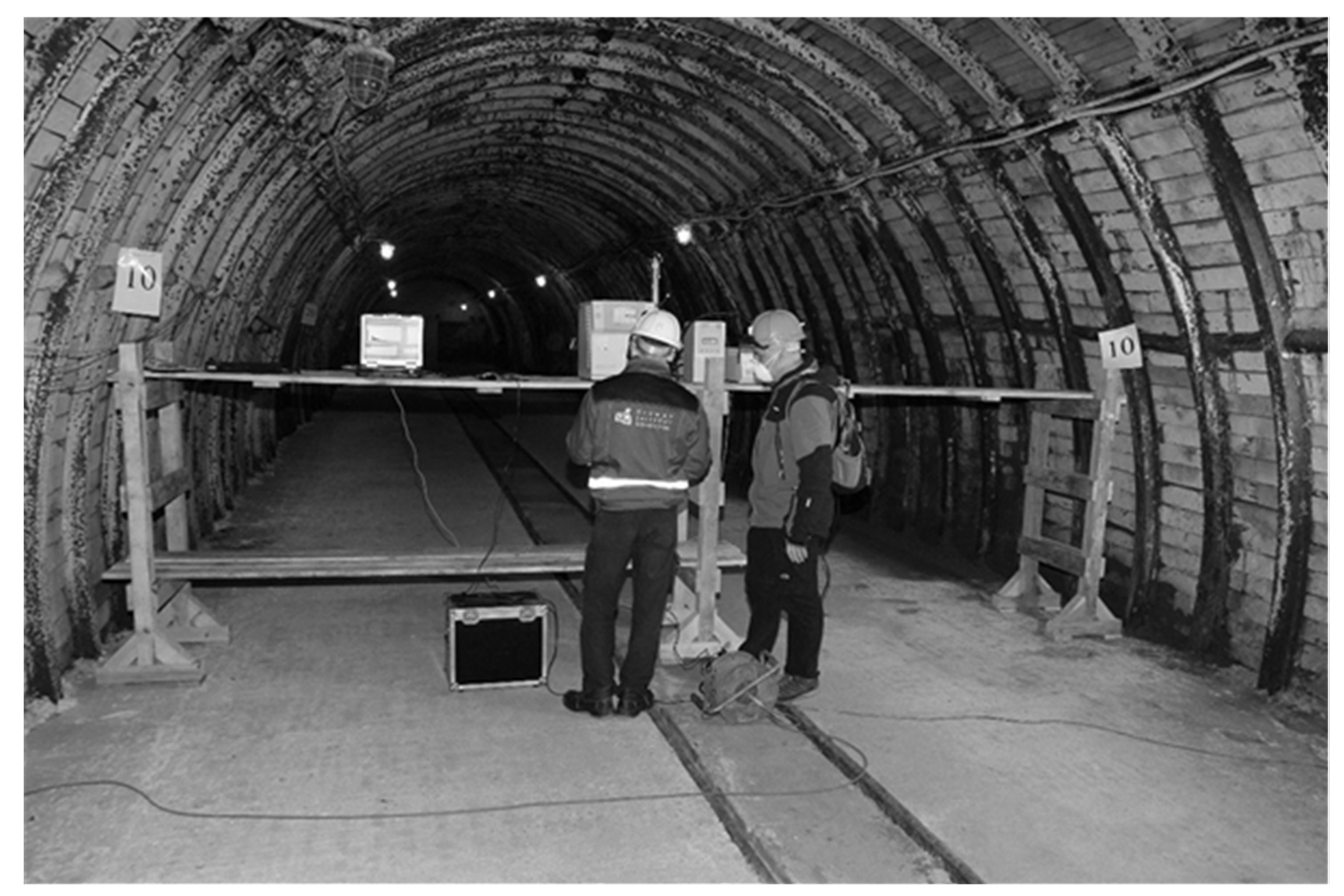 Molecules 26 03501 g002