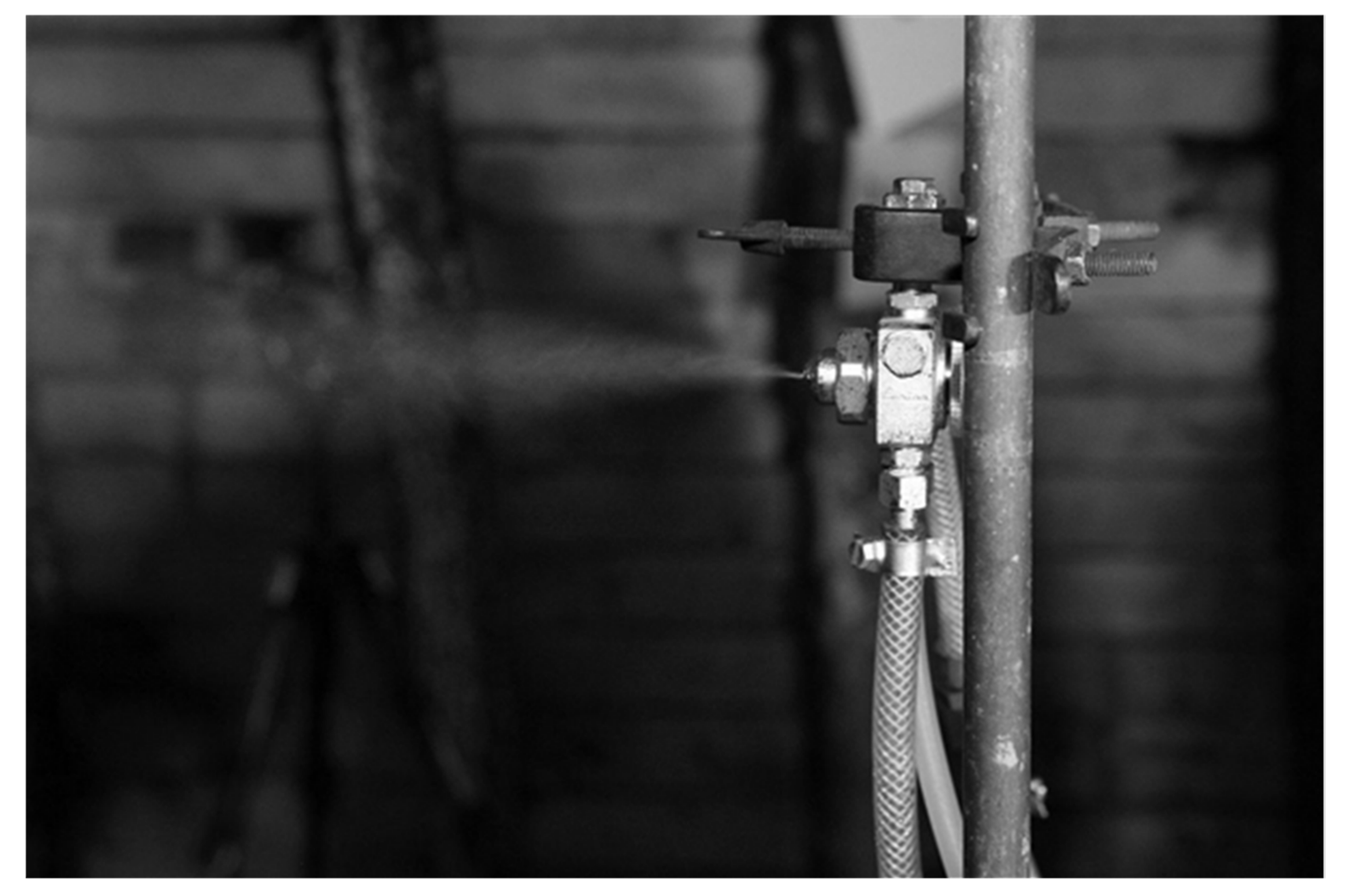 Molecules 26 03501 g004