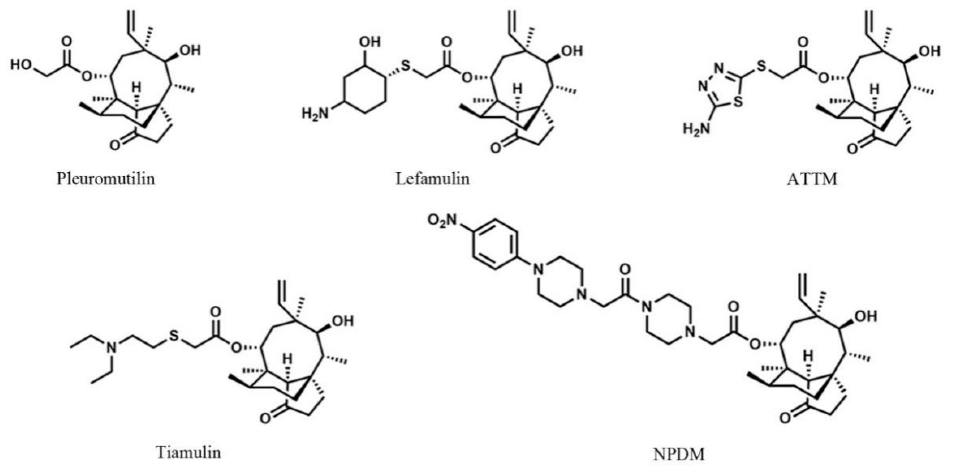 Molecules 26 03502 g001