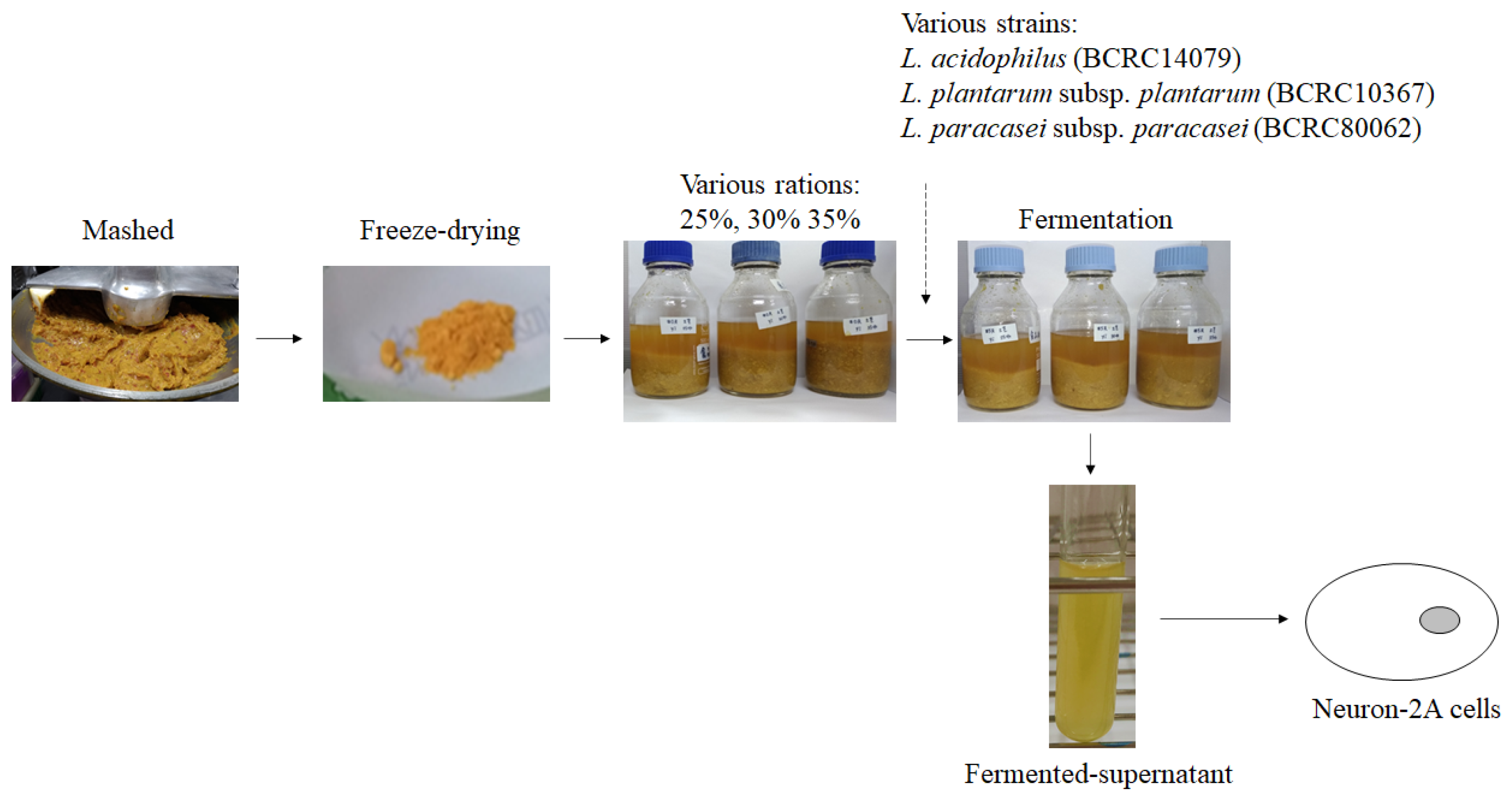 Molecules 26 03503 g001