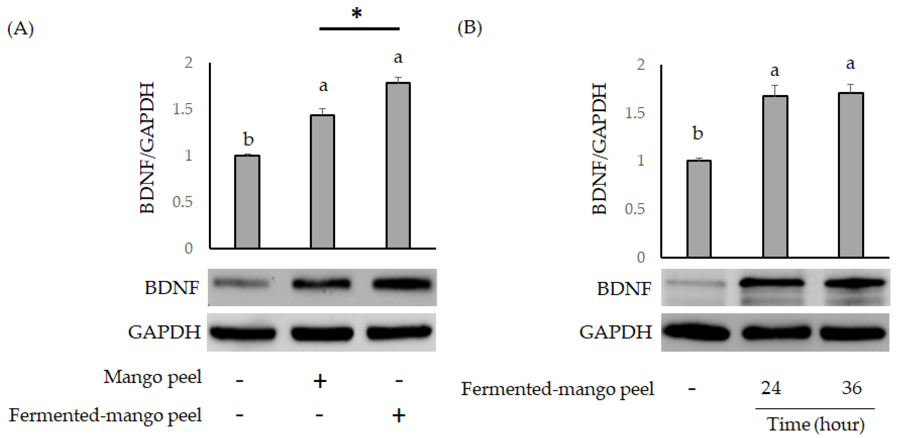 Molecules 26 03503 g004