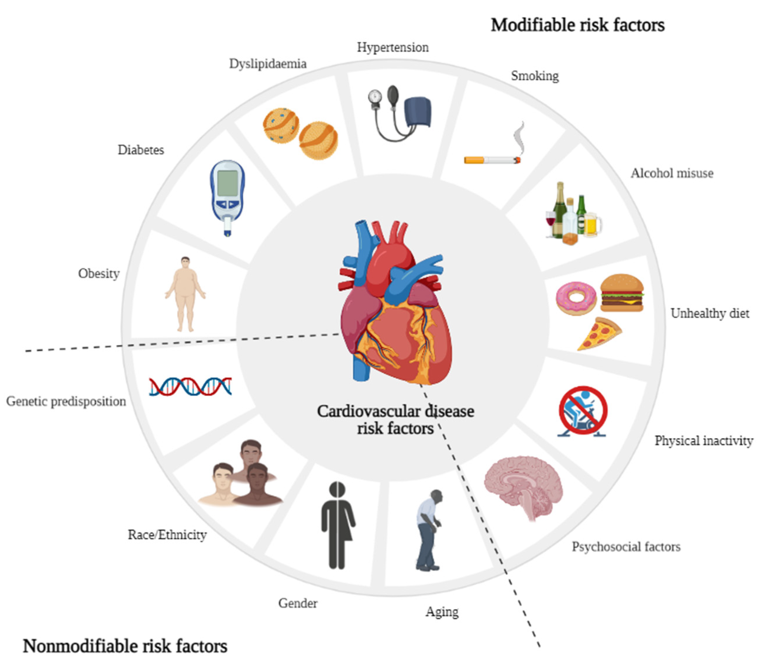 thesis on cardiovascular disease risk factors