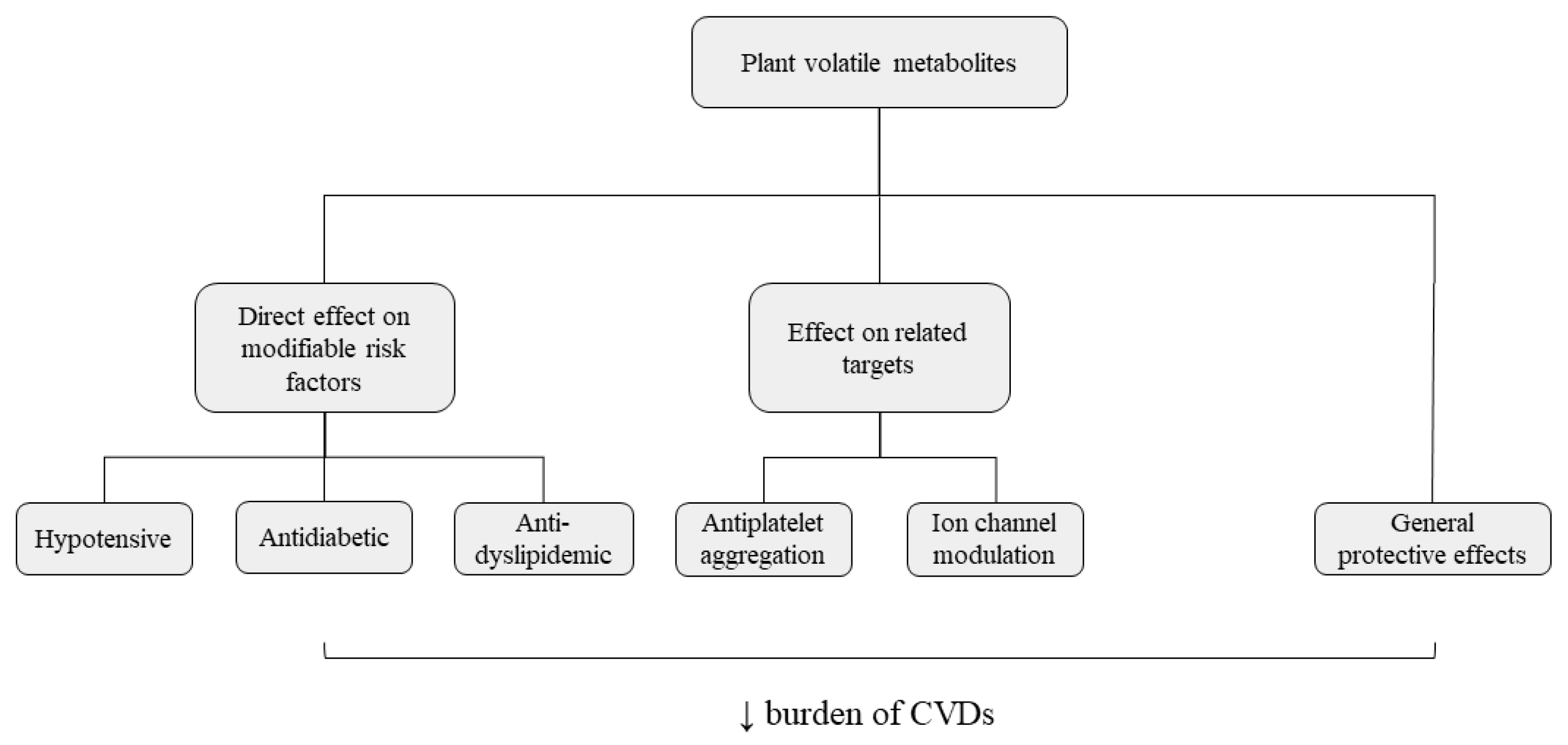 Molecules 26 03506 g002 Molecules 26 03506 g002