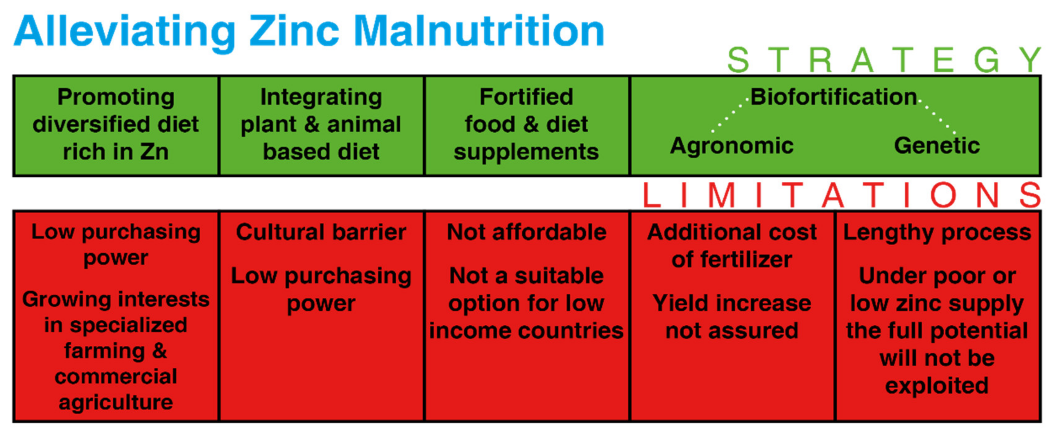 Molecules 26 03509 g001