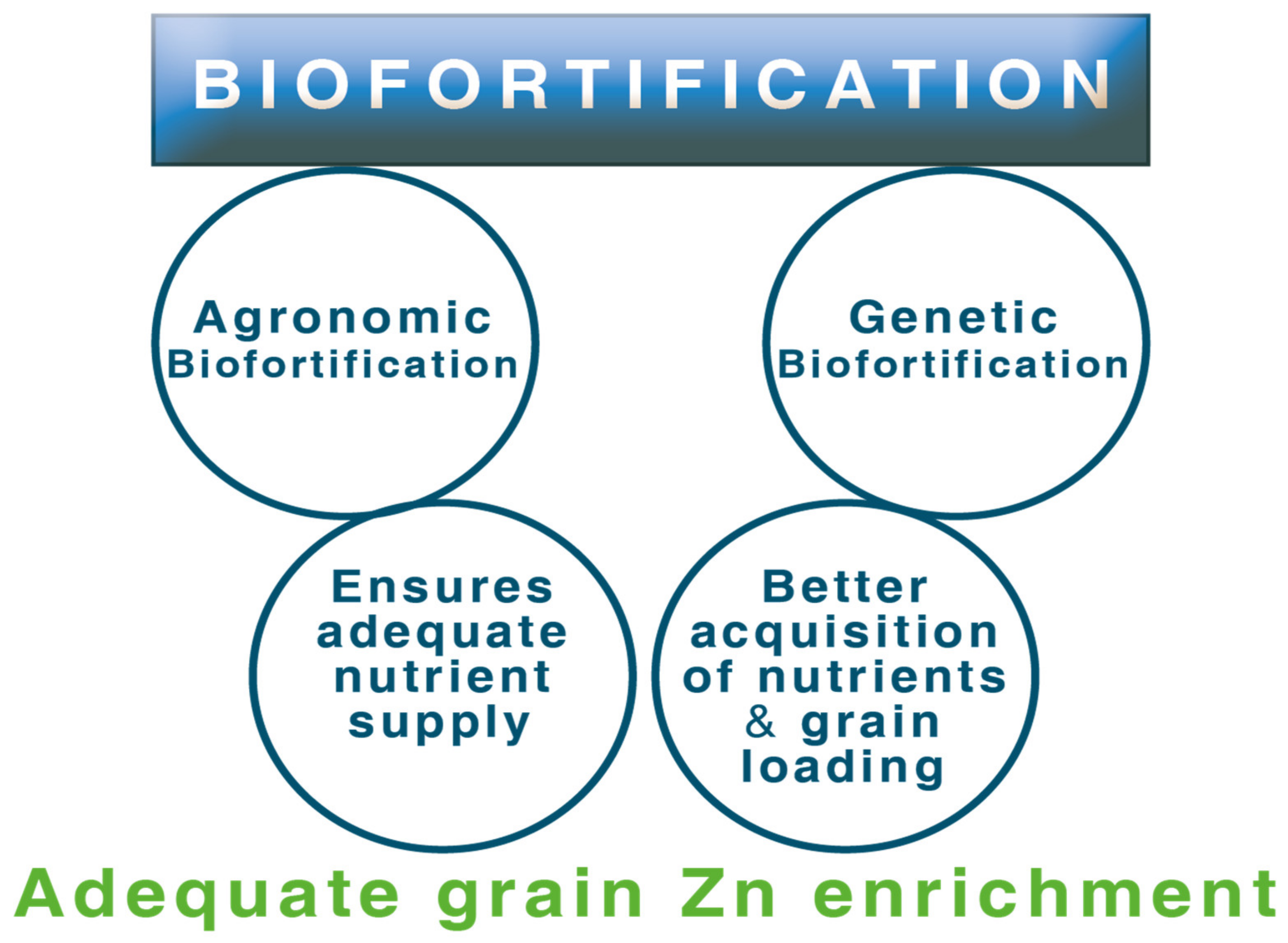 Molecules 26 03509 g003