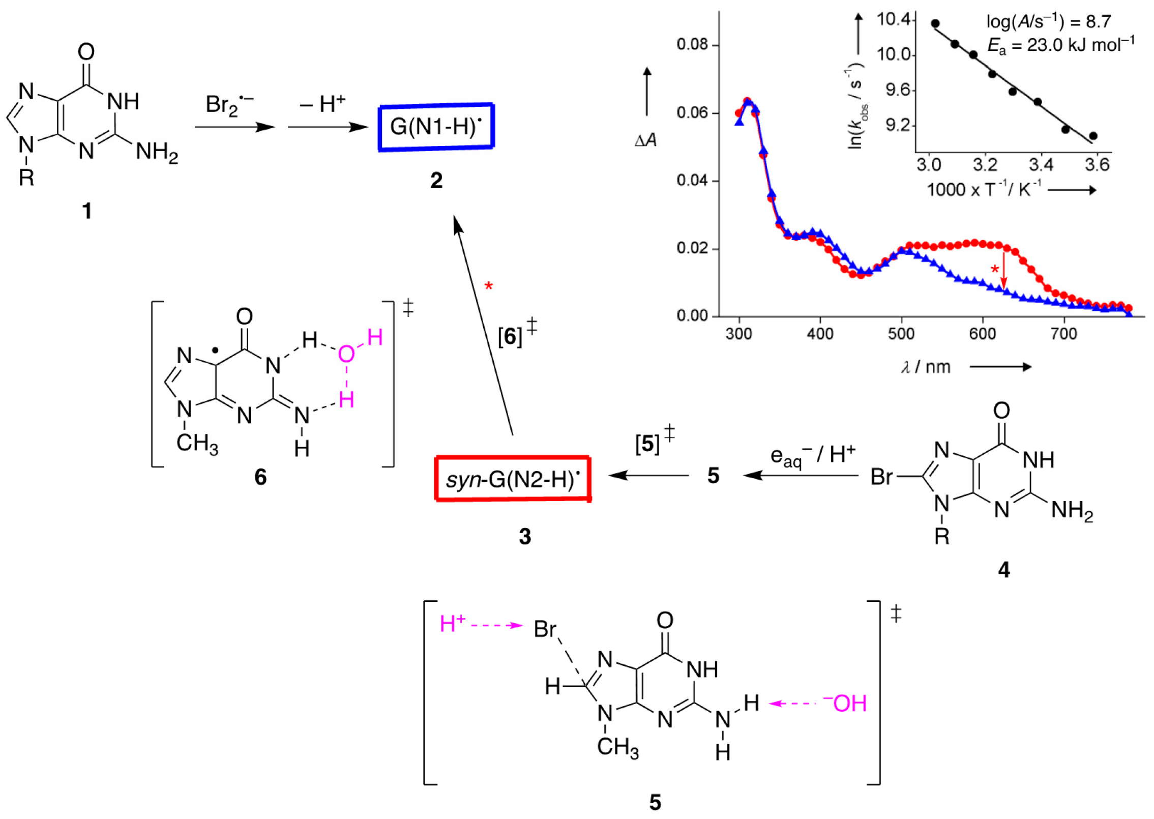 Molecules 26 03511 g003