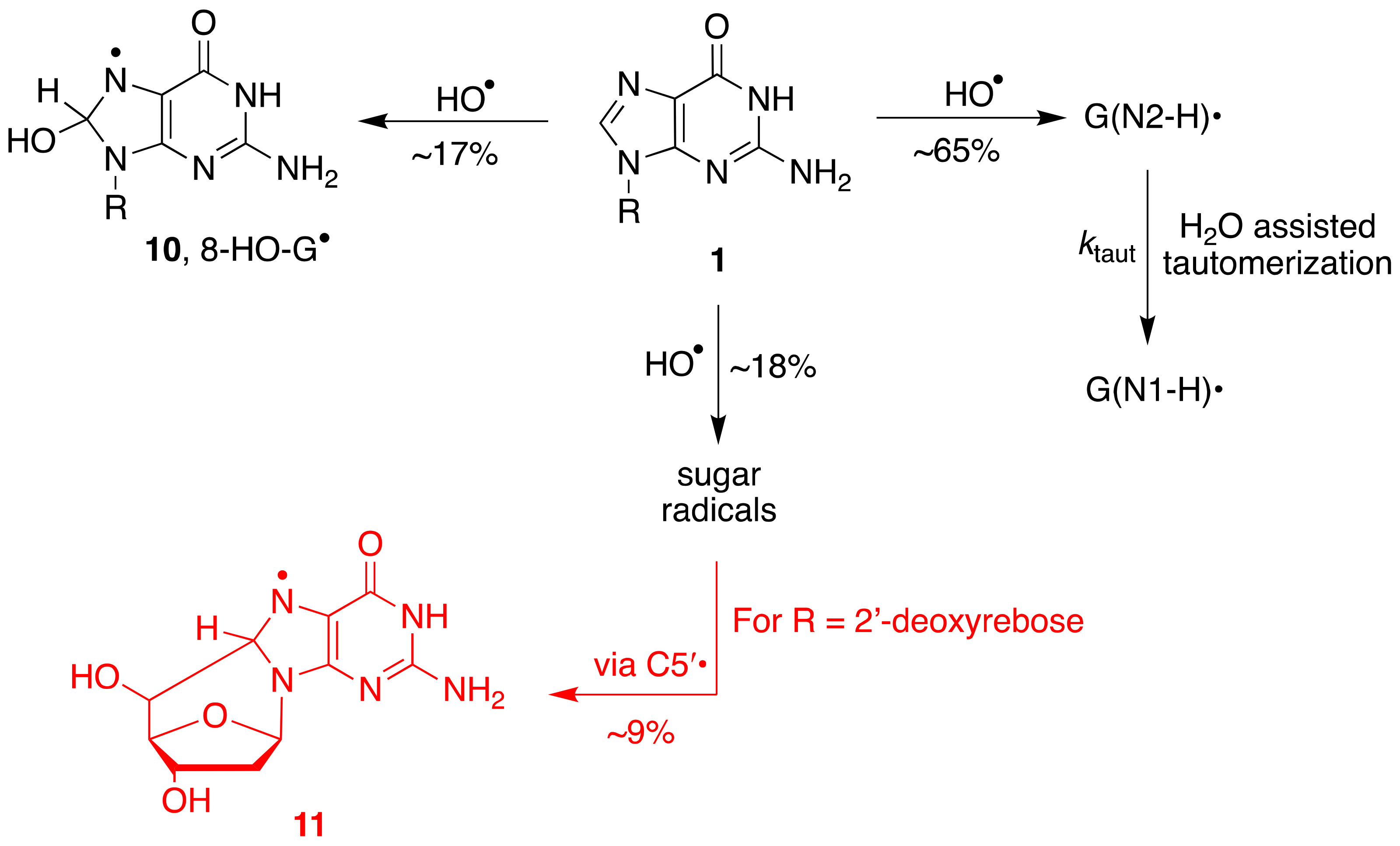 Molecules 26 03511 g006