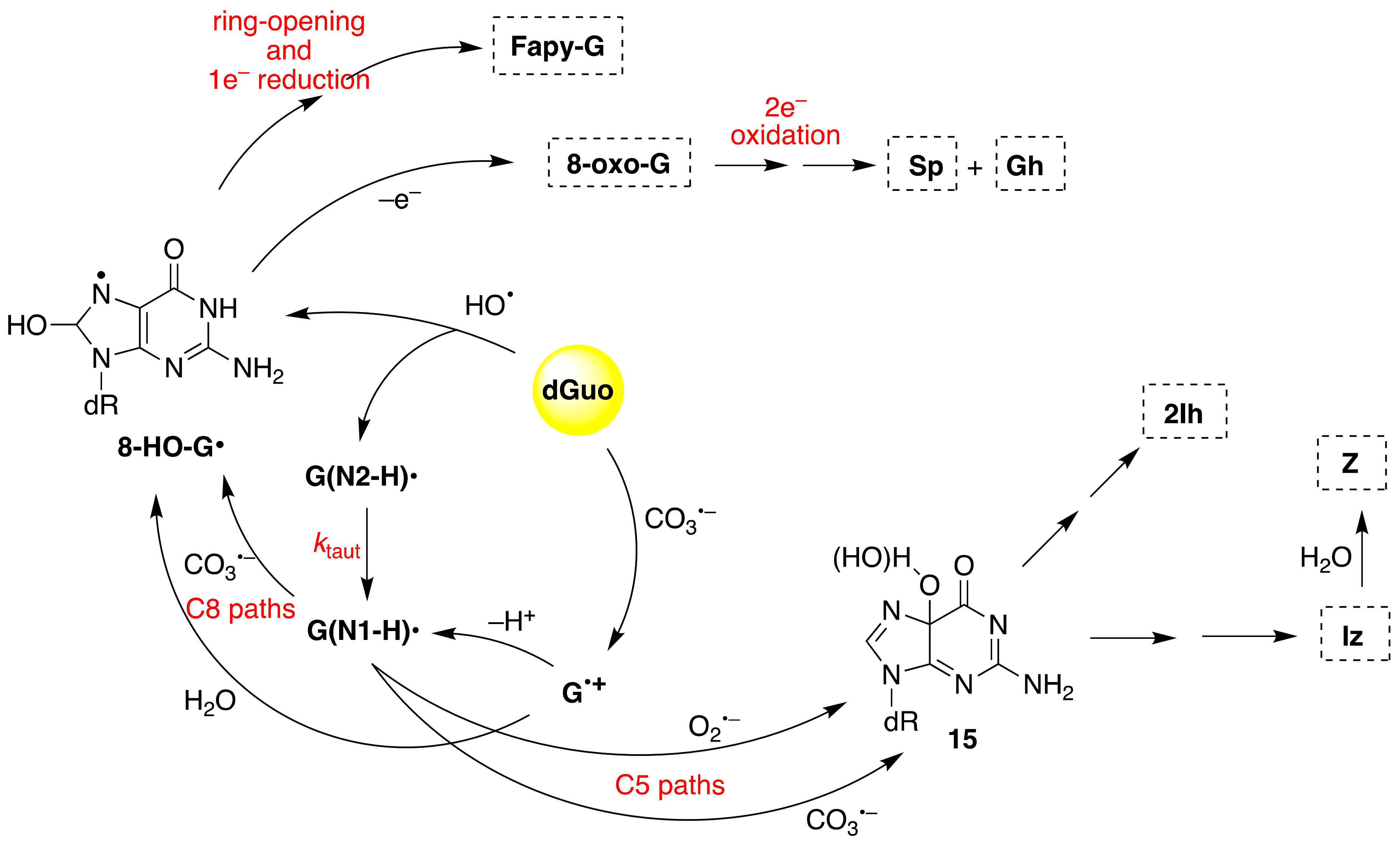 Molecules 26 03511 g008