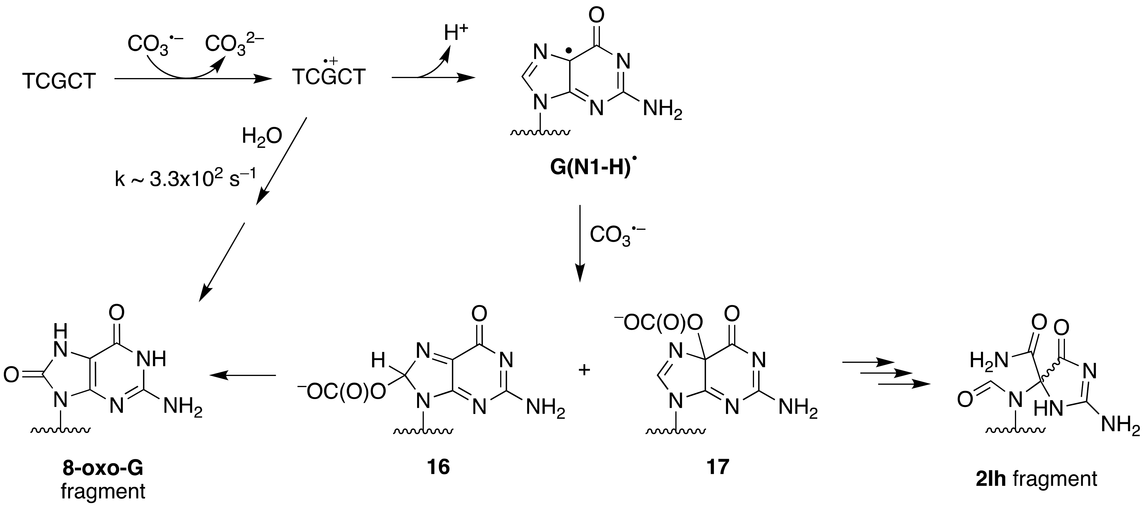 Molecules 26 03511 g009