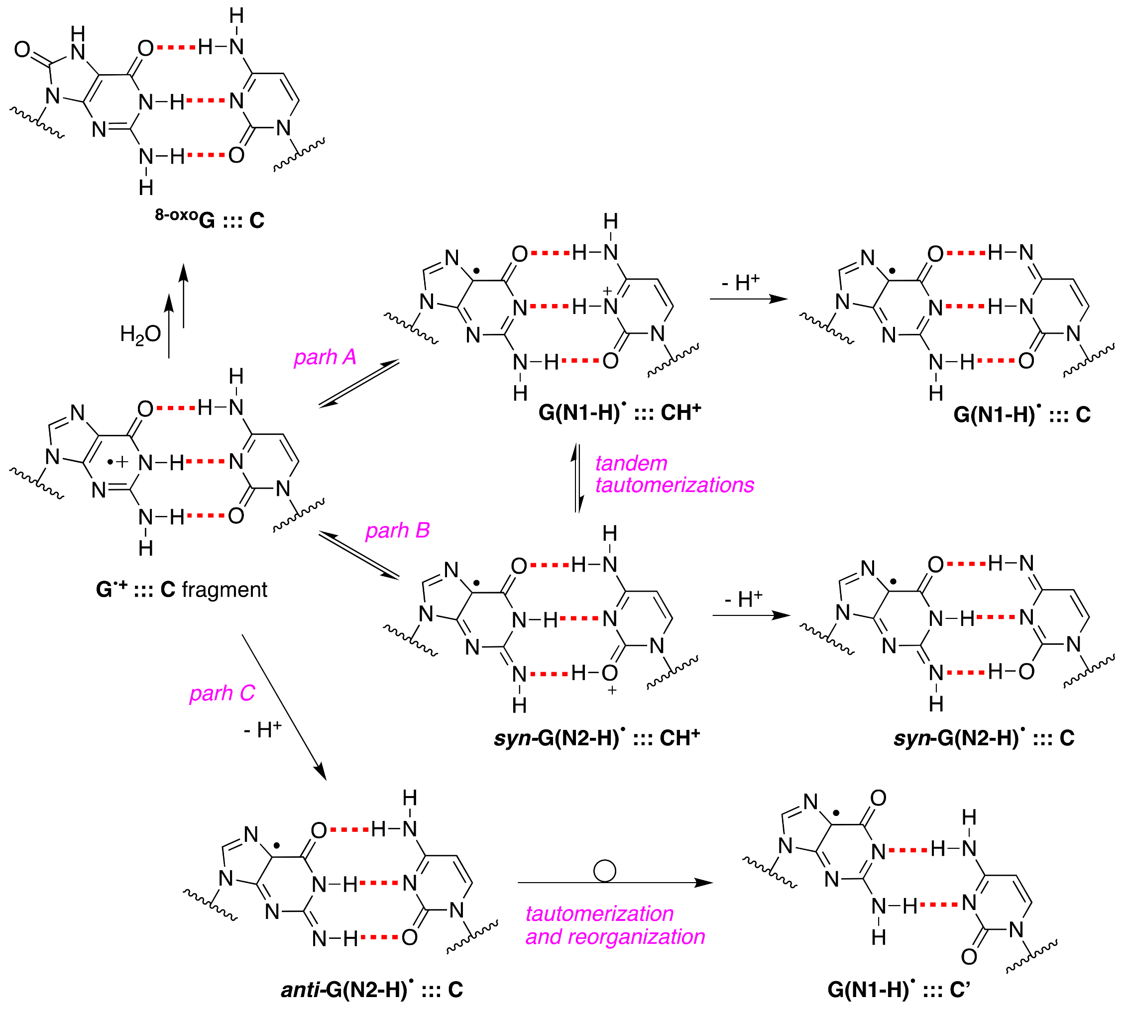 Molecules 26 03511 g010