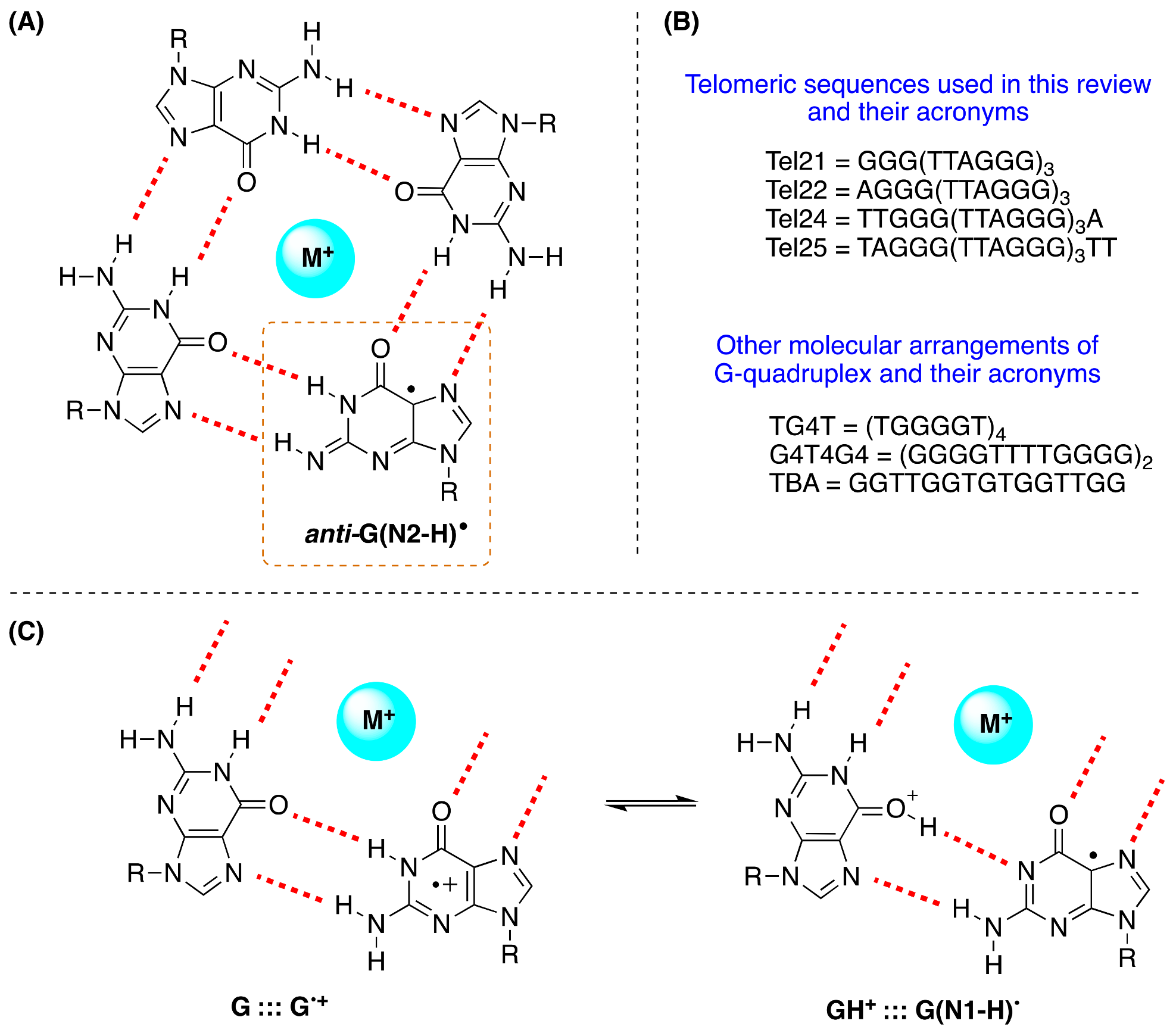Molecules 26 03511 g012