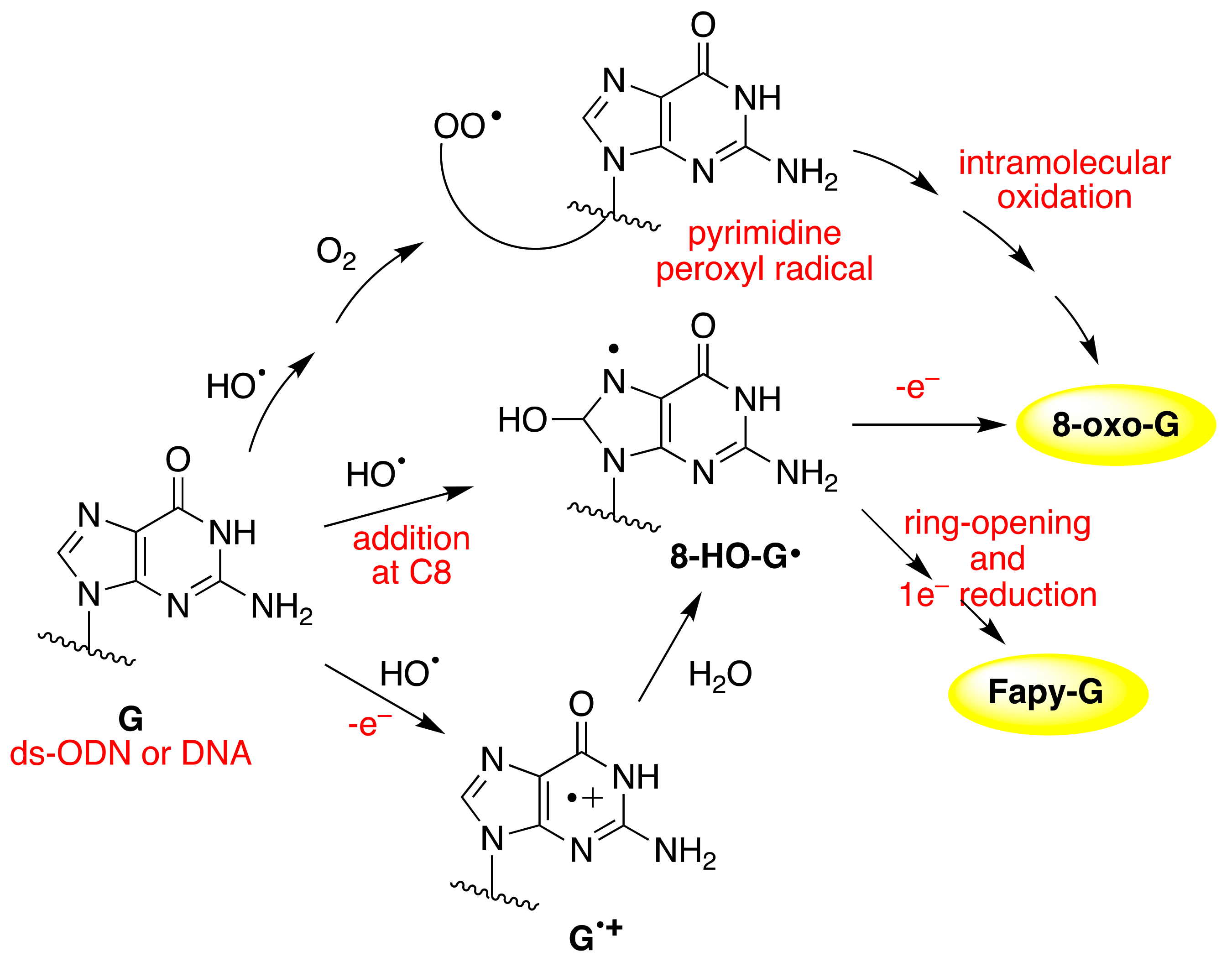 Molecules 26 03511 g014