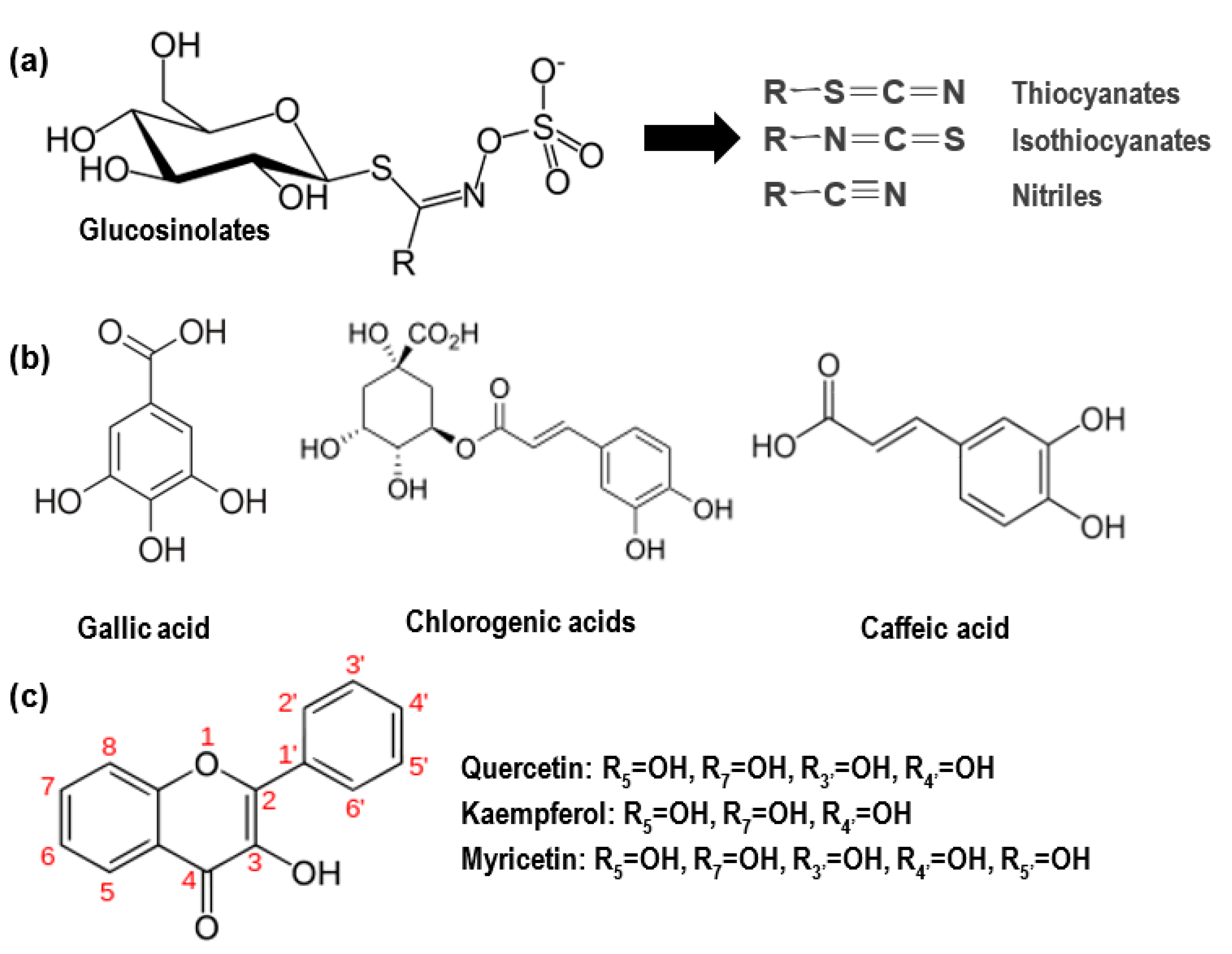 Molecules 26 03513 g008 Molecules 26 03513 g008