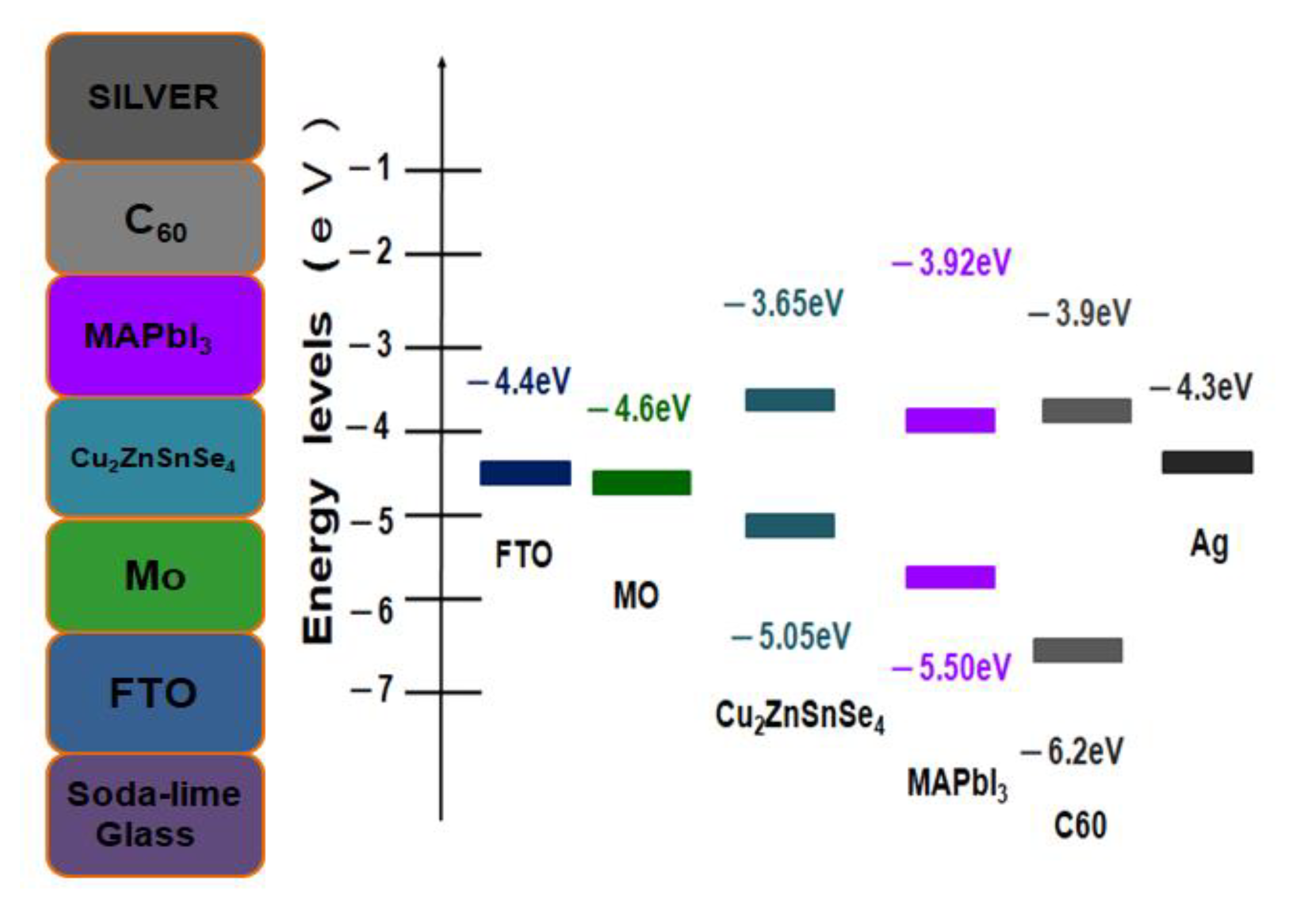Molecules 26 03516 g001