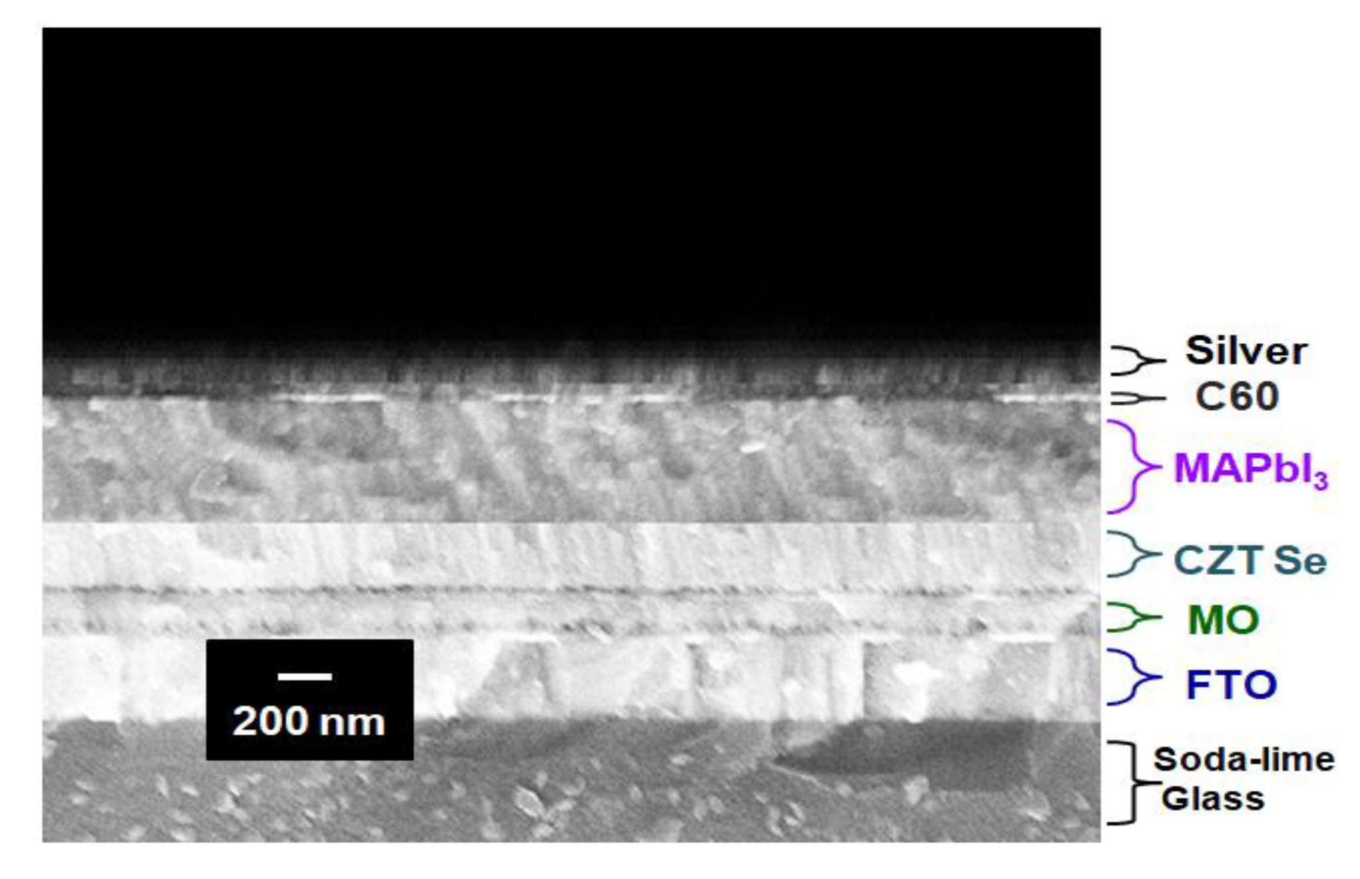 Molecules 26 03516 g005