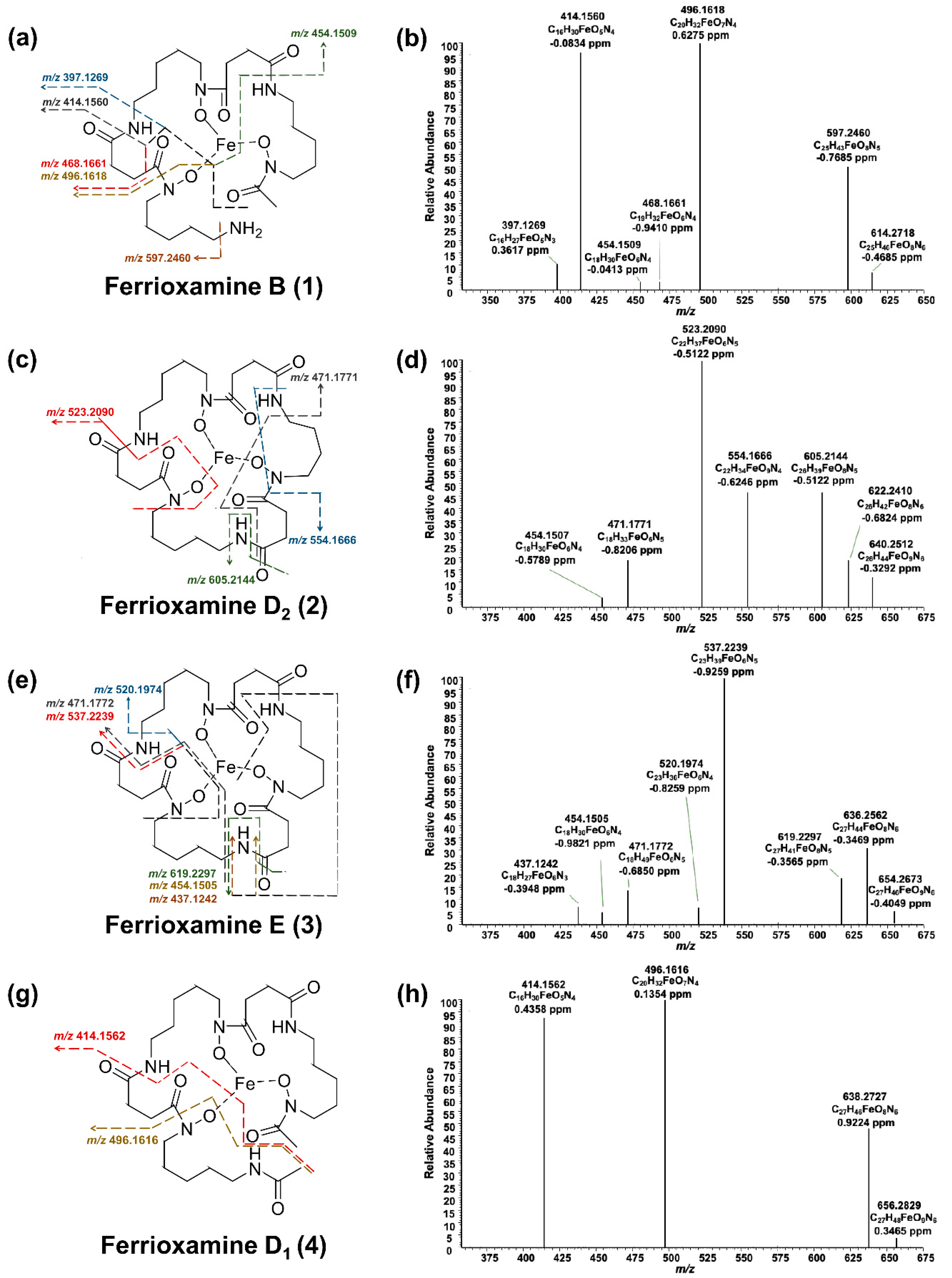 Molecules 26 03517 g004