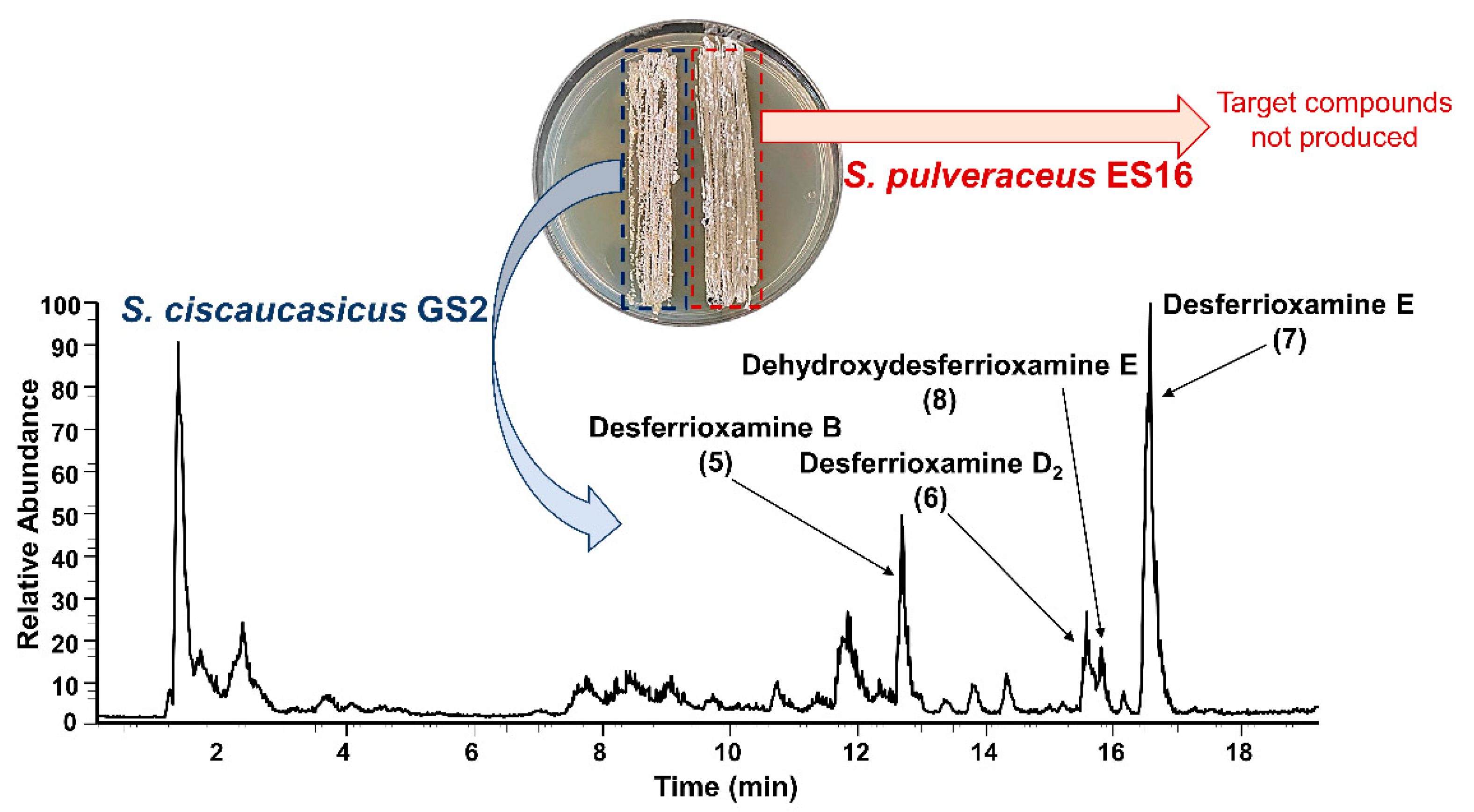 Molecules 26 03517 g005