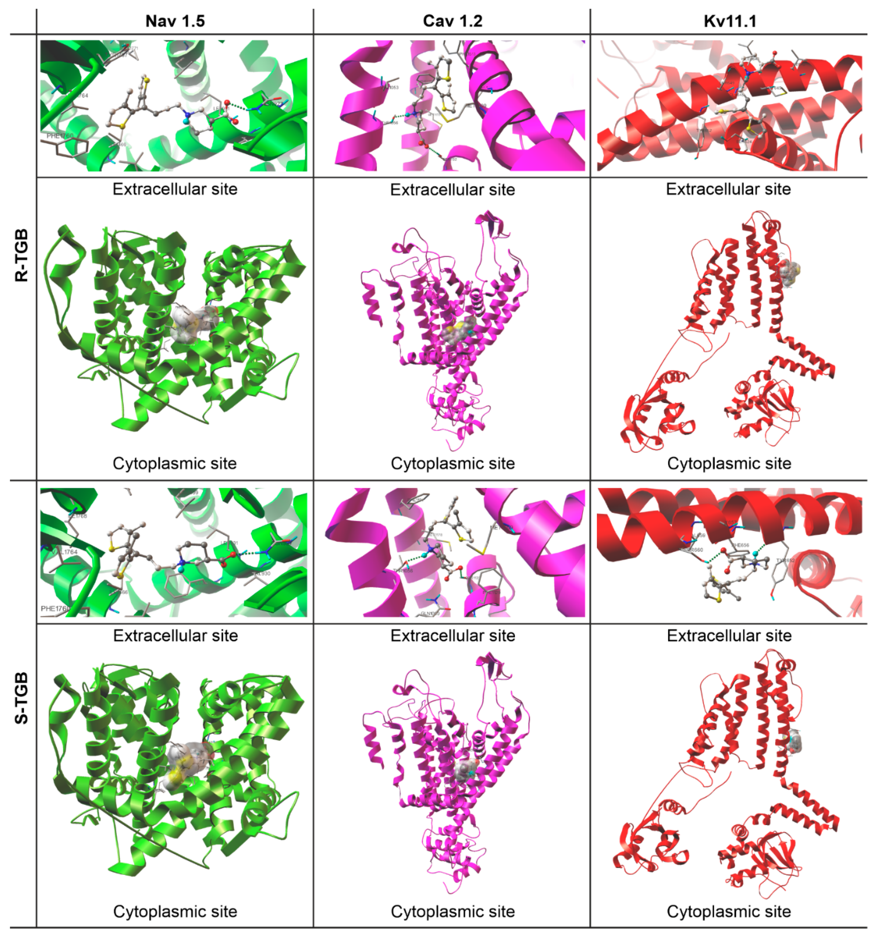 Molecules 26 03522 g003 Molecules 26 03522 g003