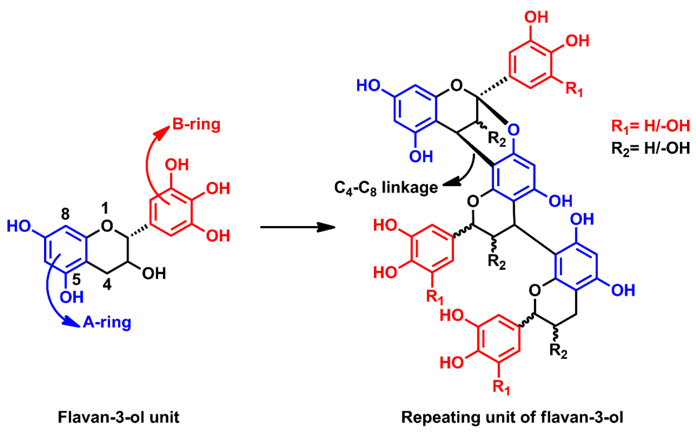 Molecules 26 03523 g001 Molecules 26 03523 g001