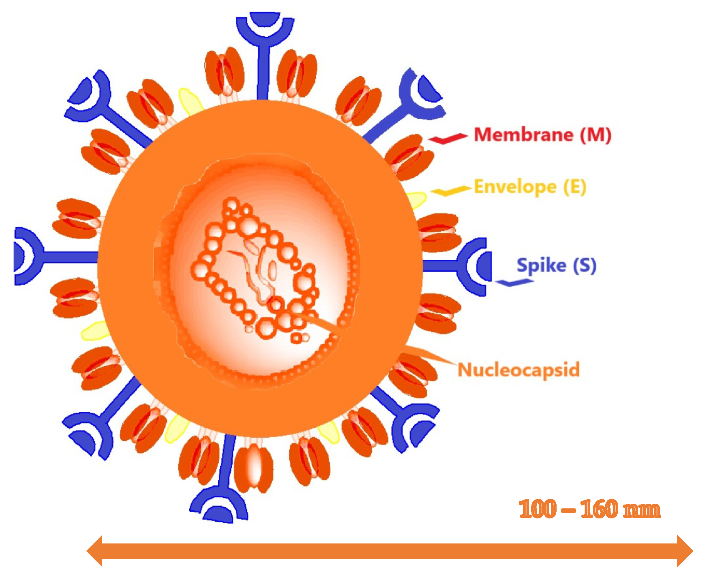 Molecules 26 03526 g002 Molecules 26 03526 g002
