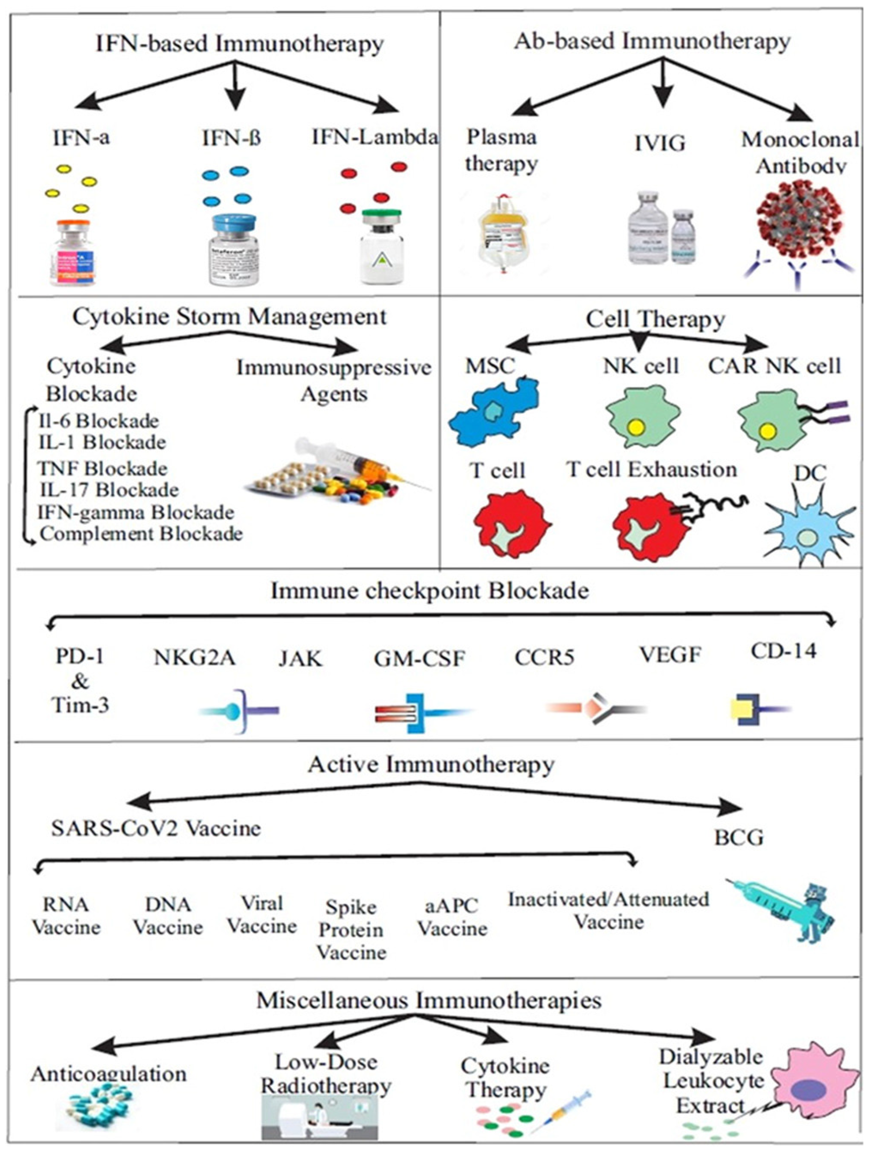 Molecules 26 03526 g004 Molecules 26 03526 g004