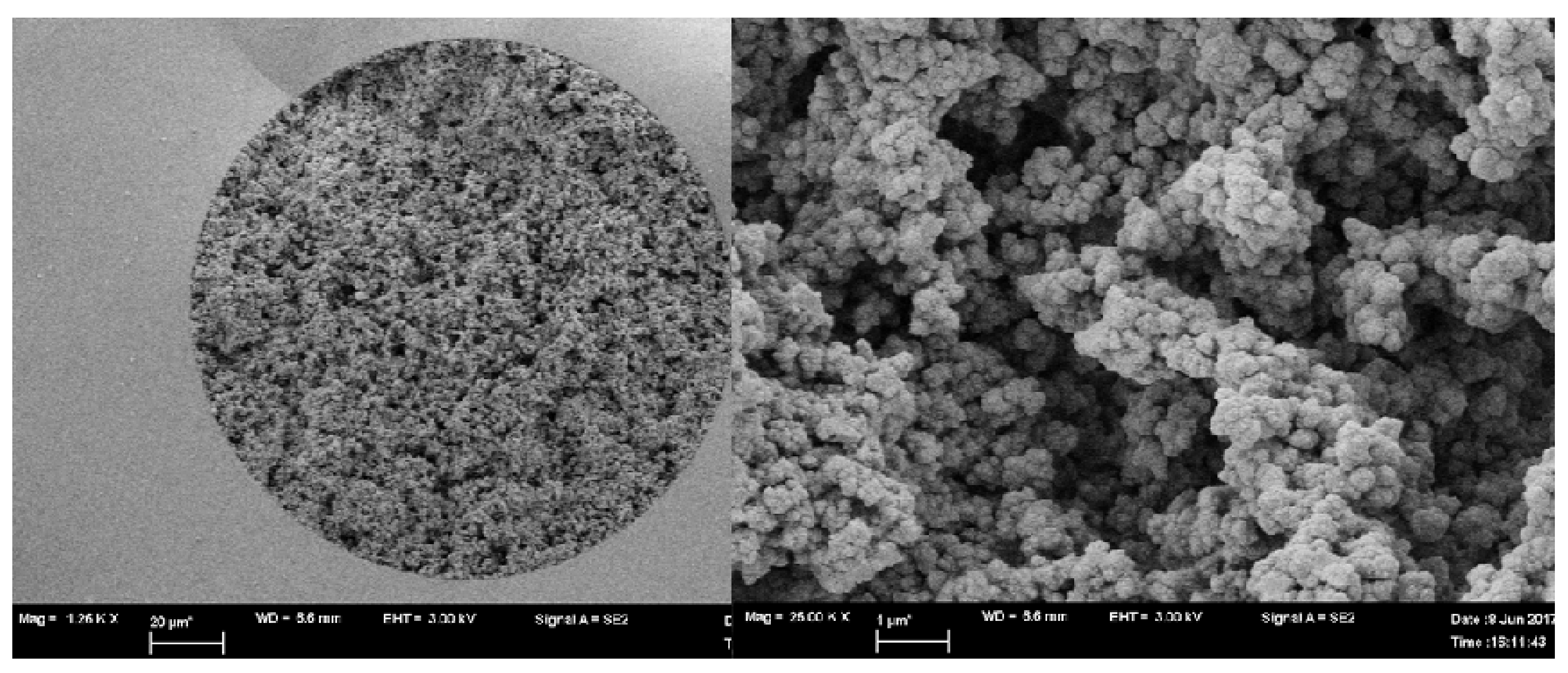Molecules 26 03527 g003 Molecules 26 03527 g003