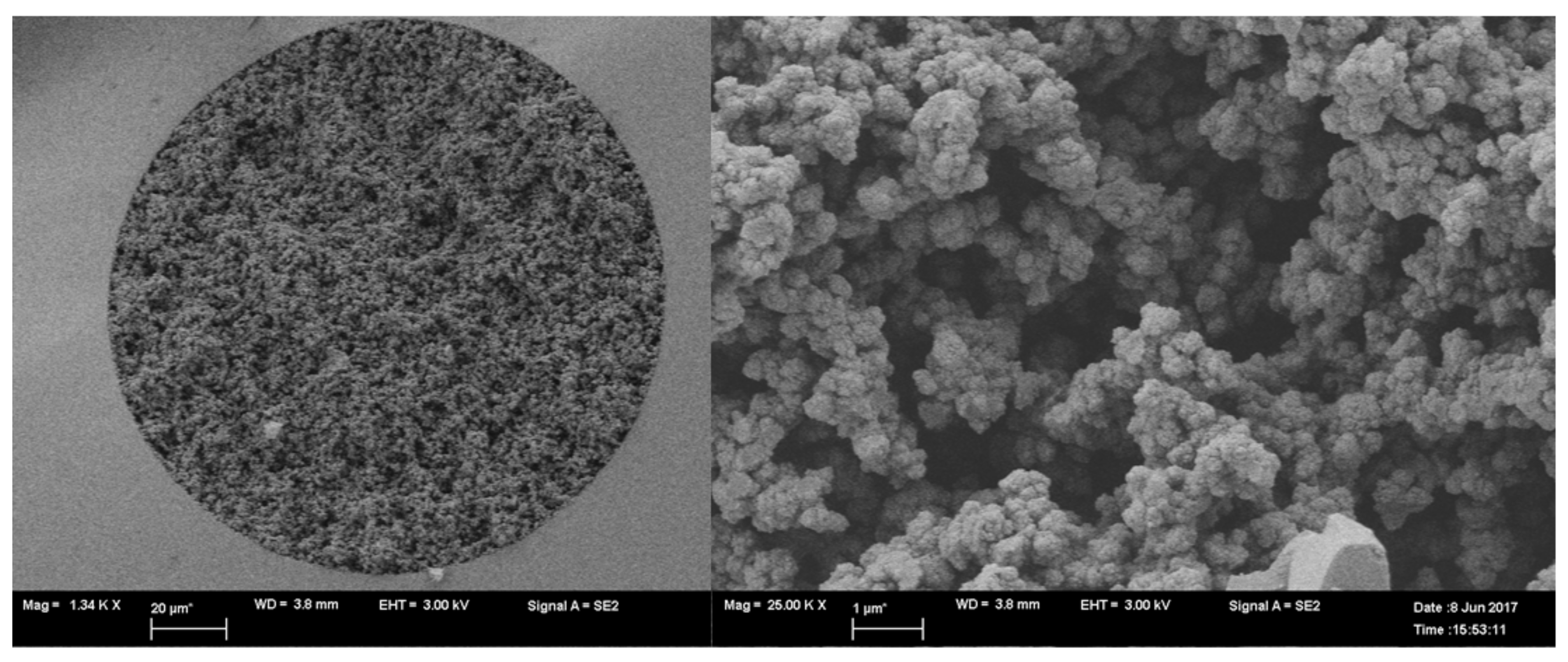 Molecules 26 03527 g004 Molecules 26 03527 g004