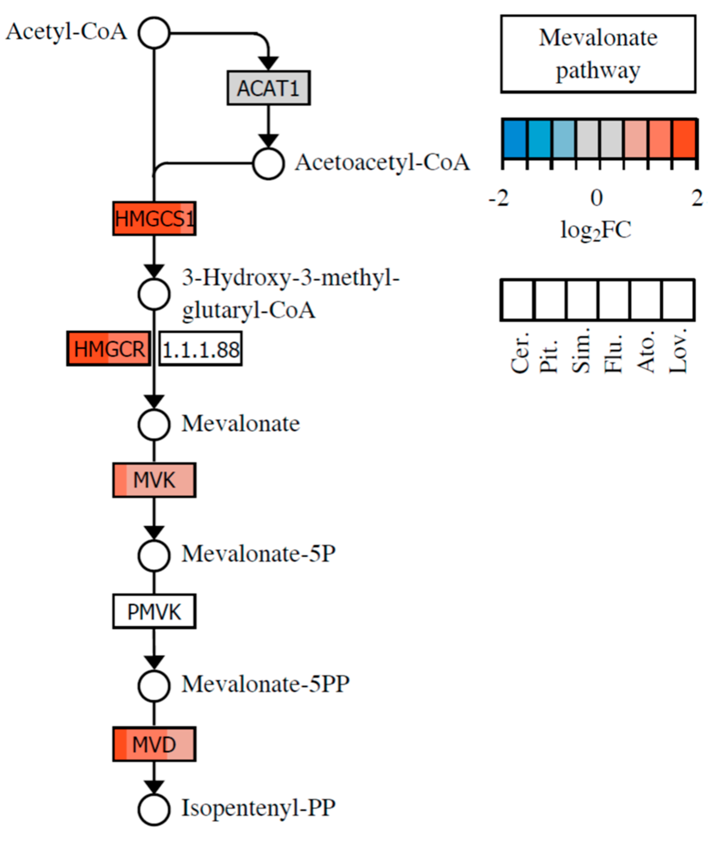 Molecules 26 03528 g002 Molecules 26 03528 g002