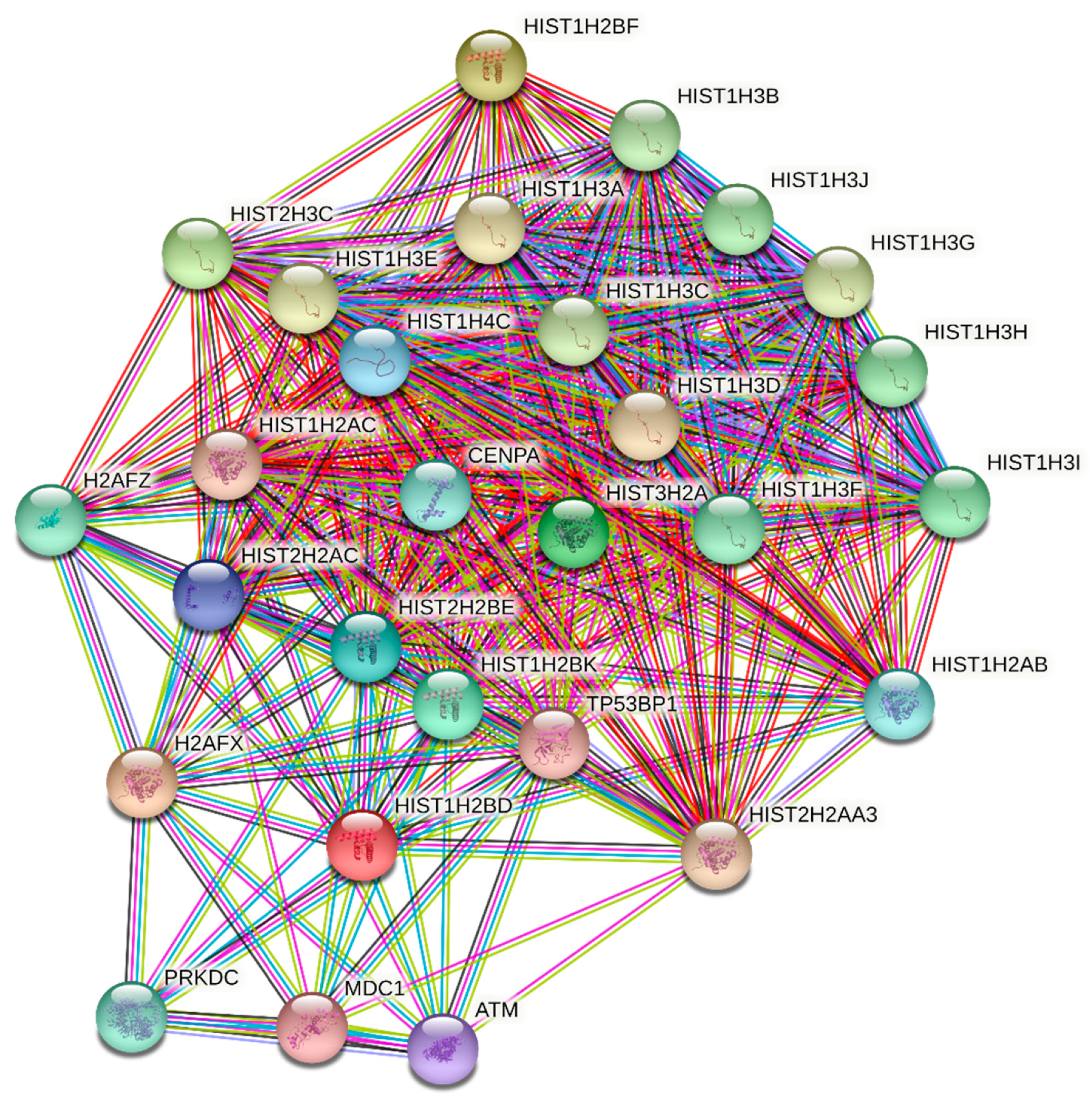 Molecules 26 03528 g003 Molecules 26 03528 g003