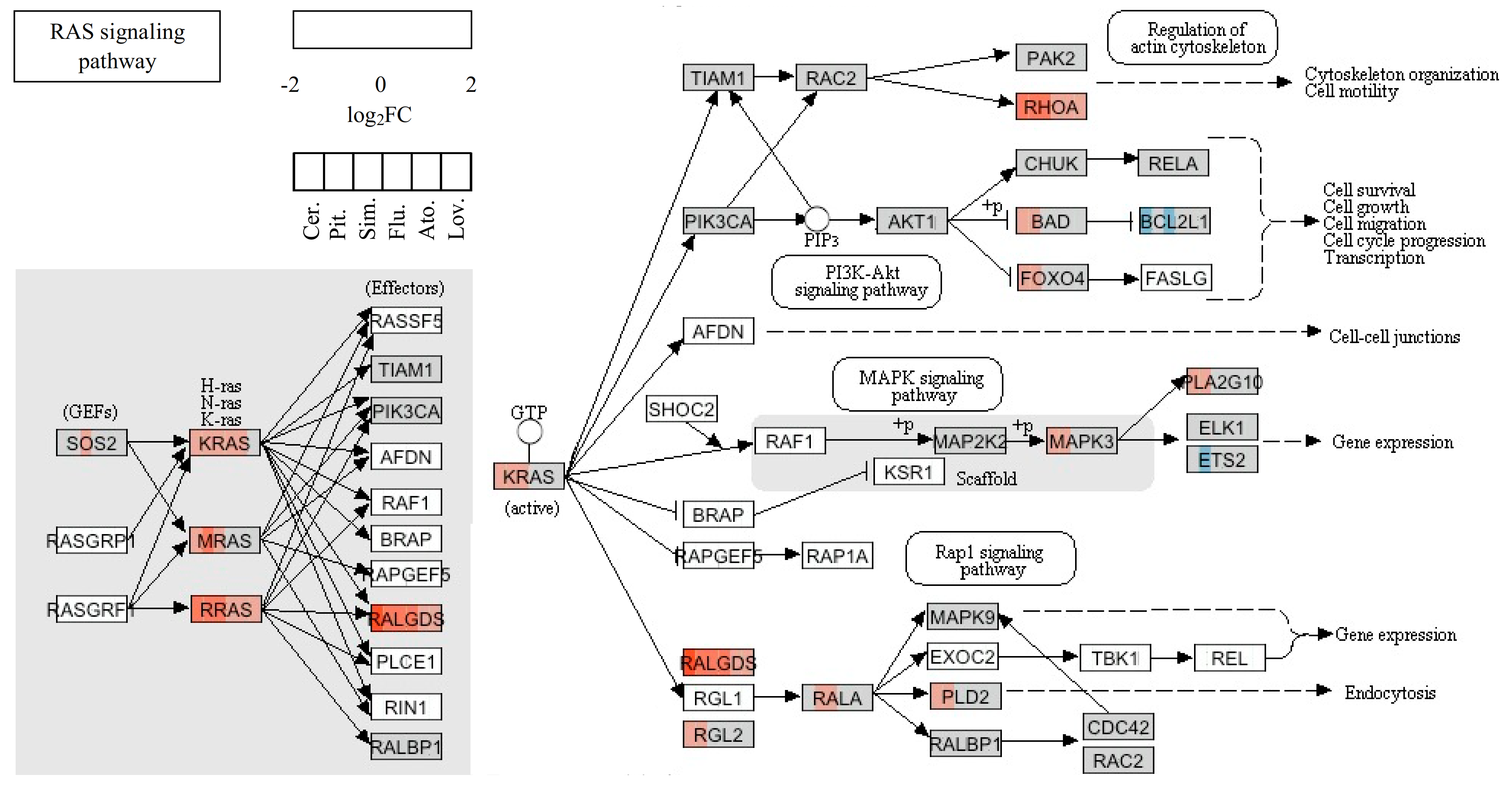 Molecules 26 03528 g004 Molecules 26 03528 g004