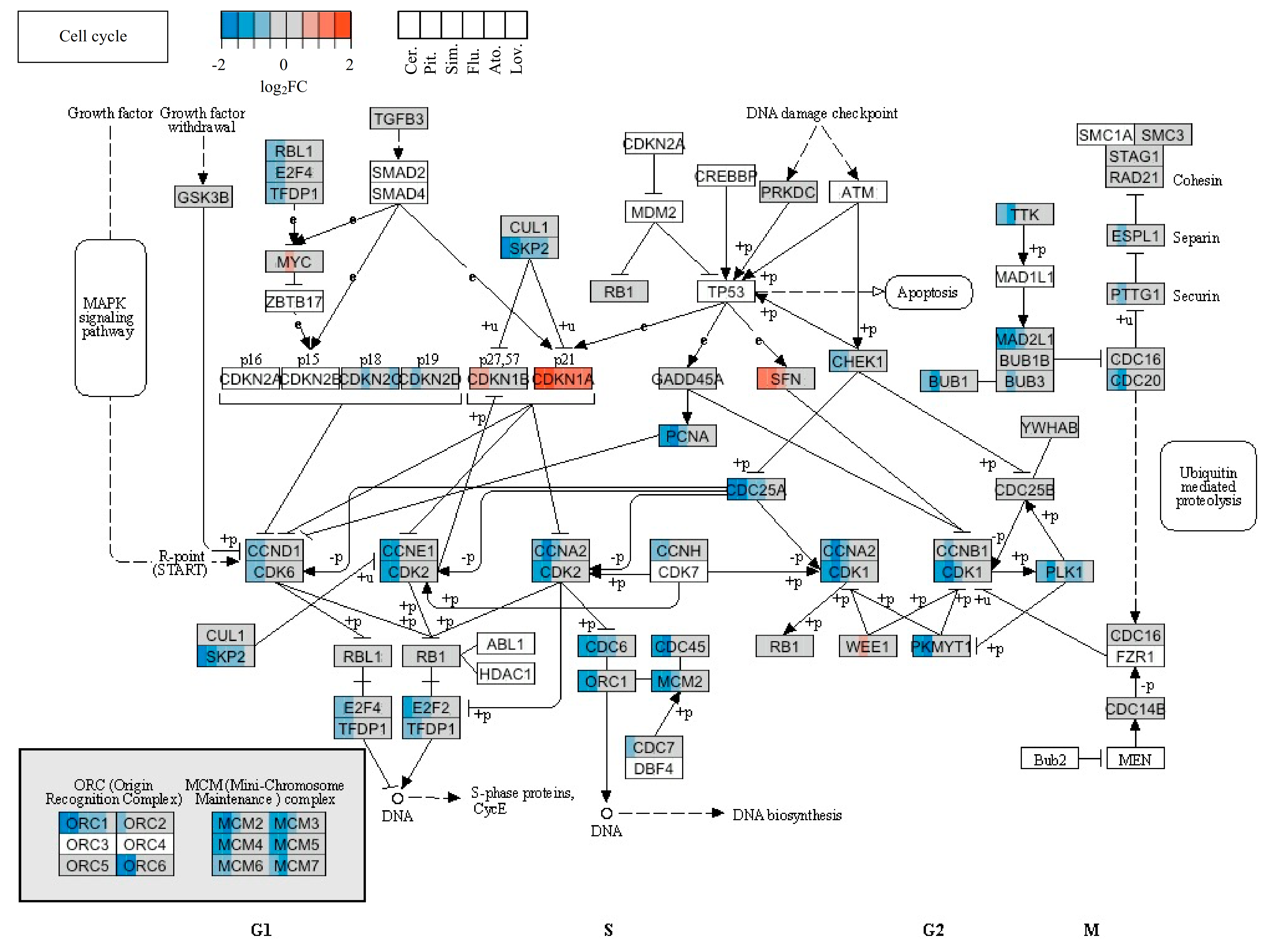 Molecules 26 03528 g005 Molecules 26 03528 g005