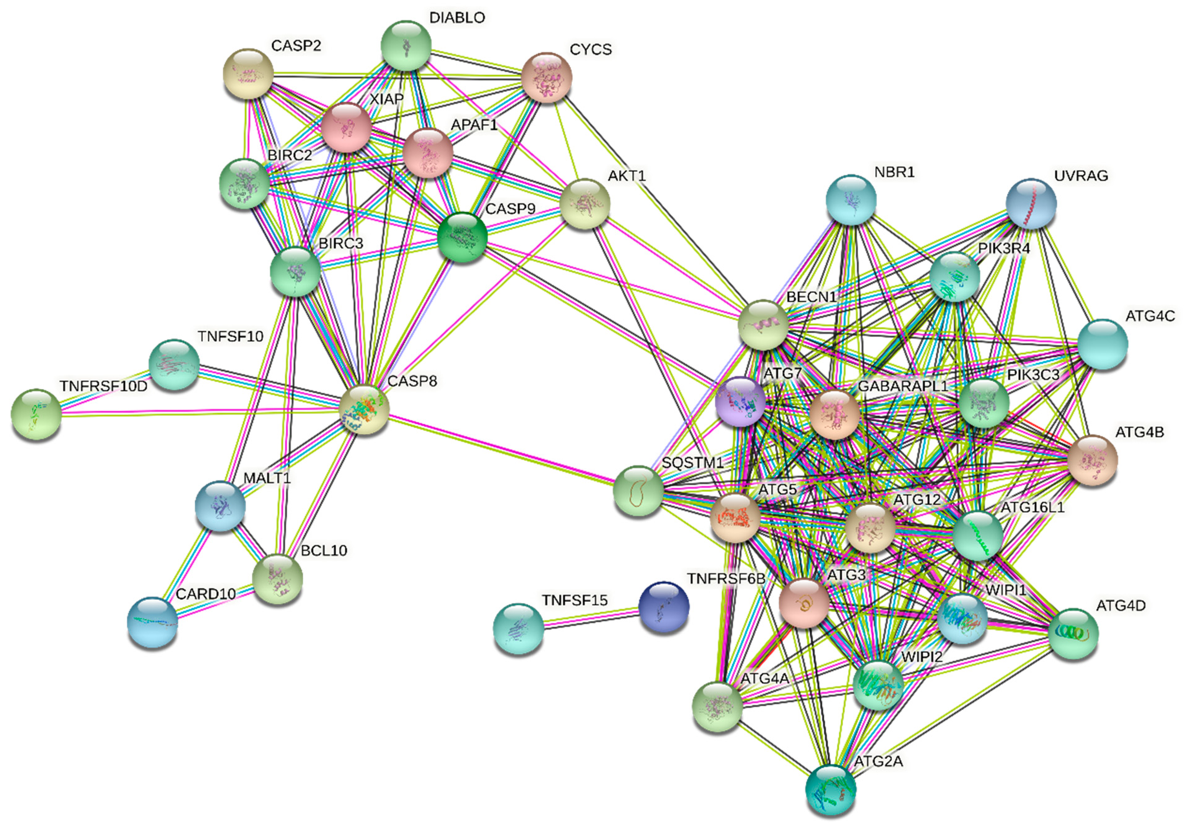 Molecules 26 03528 g006 Molecules 26 03528 g006
