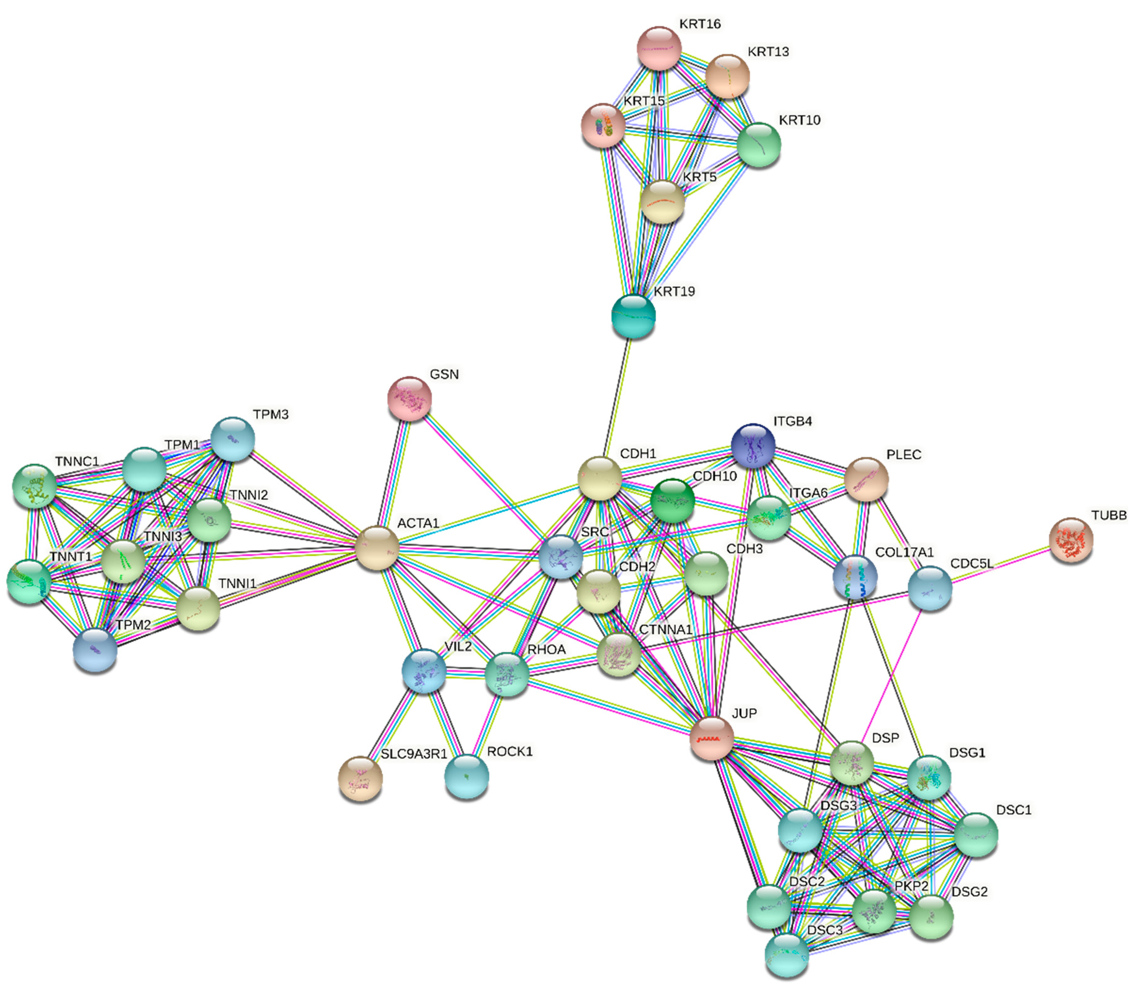 Molecules 26 03528 g007 Molecules 26 03528 g007