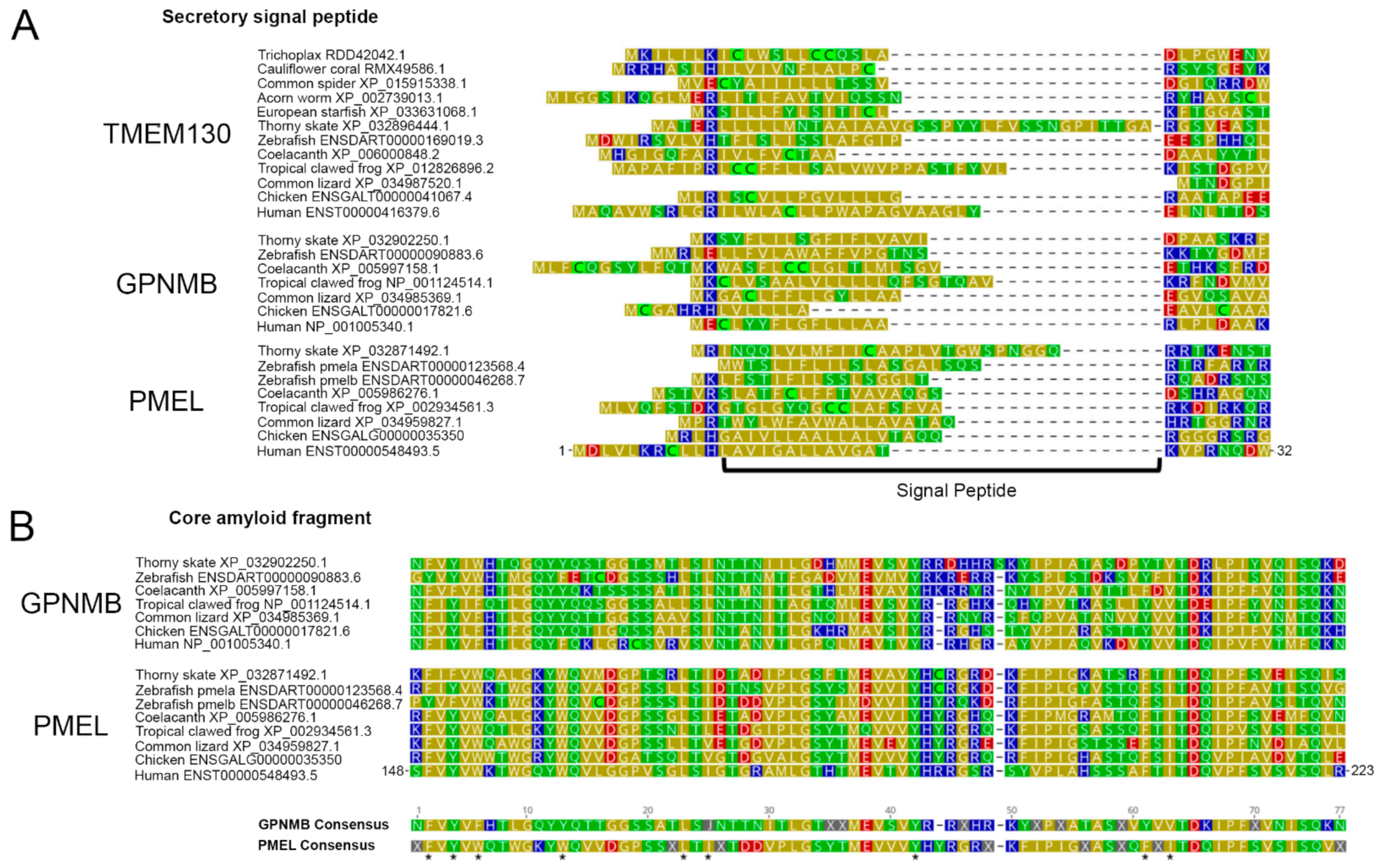 Molecules 26 03529 g007