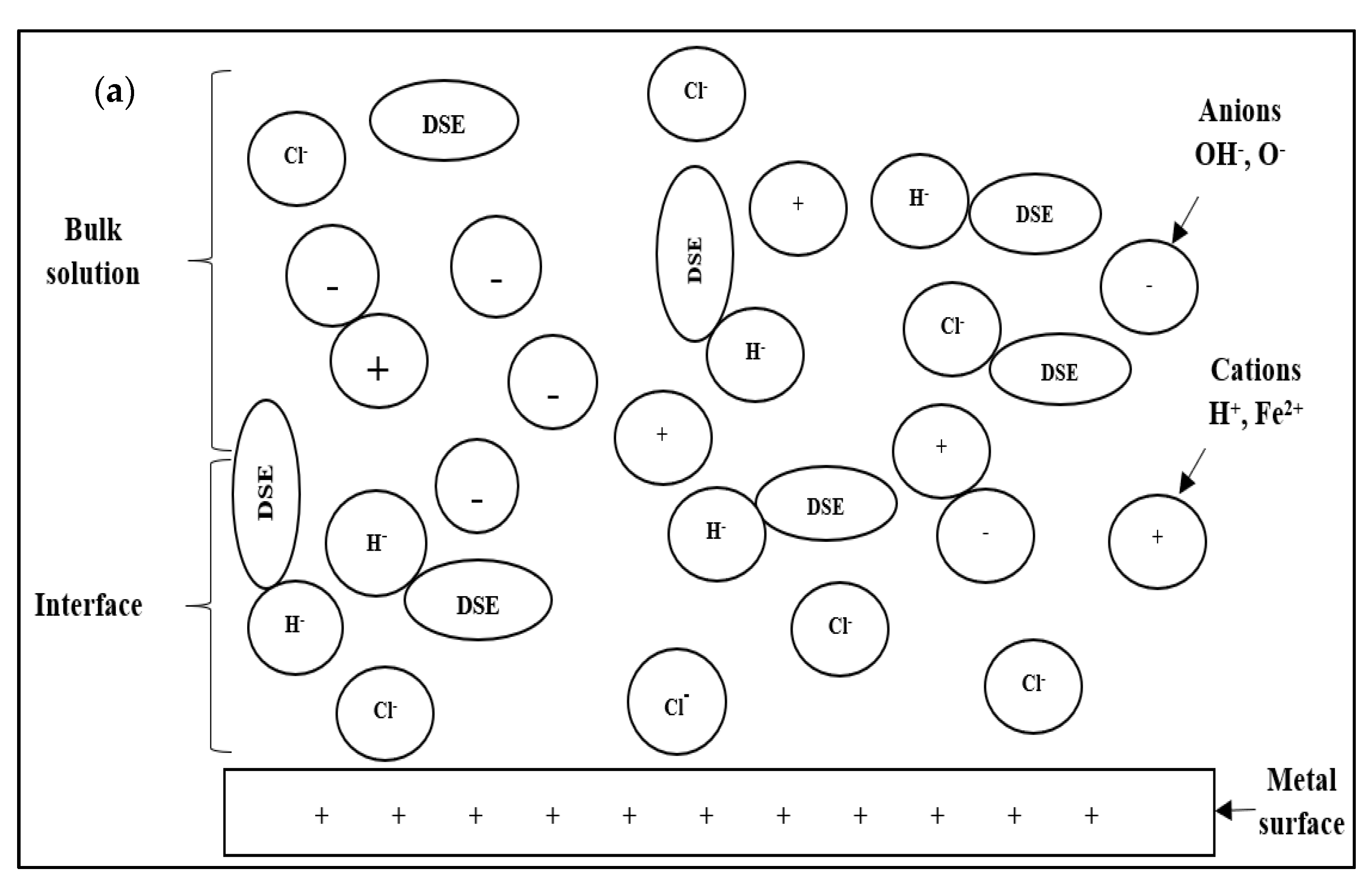 Molecules 26 03535 g010a